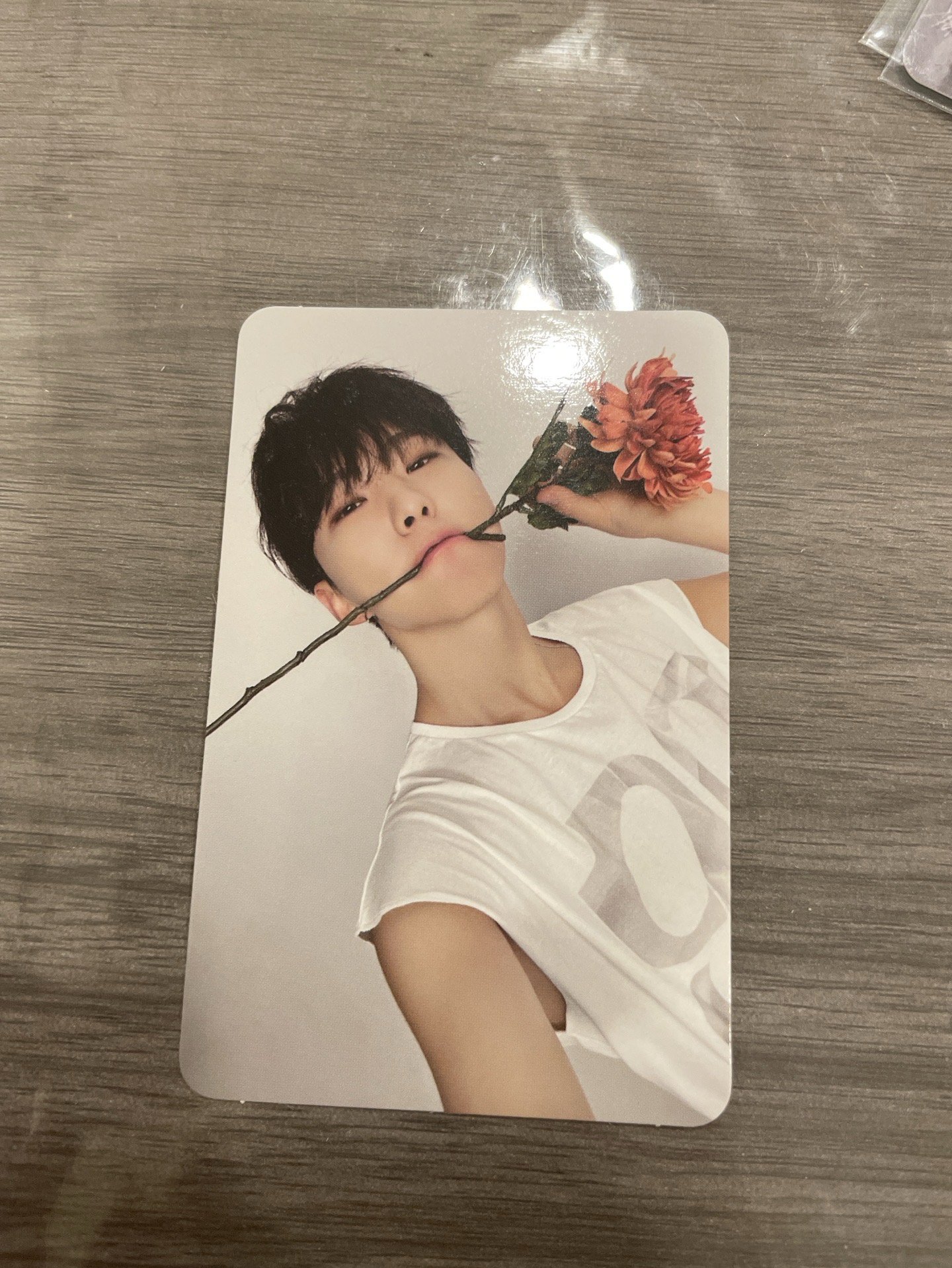 順榮 精選克拉盤 專卡