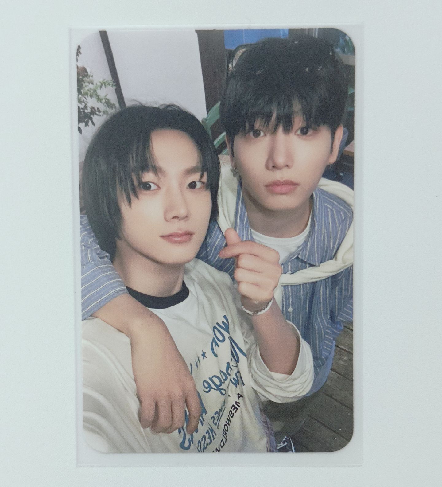 and 藍背雙人卡 12/13