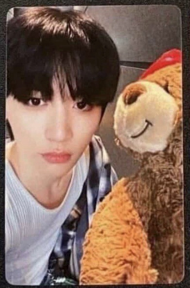 19.99 zyz3.0 抱熊特典