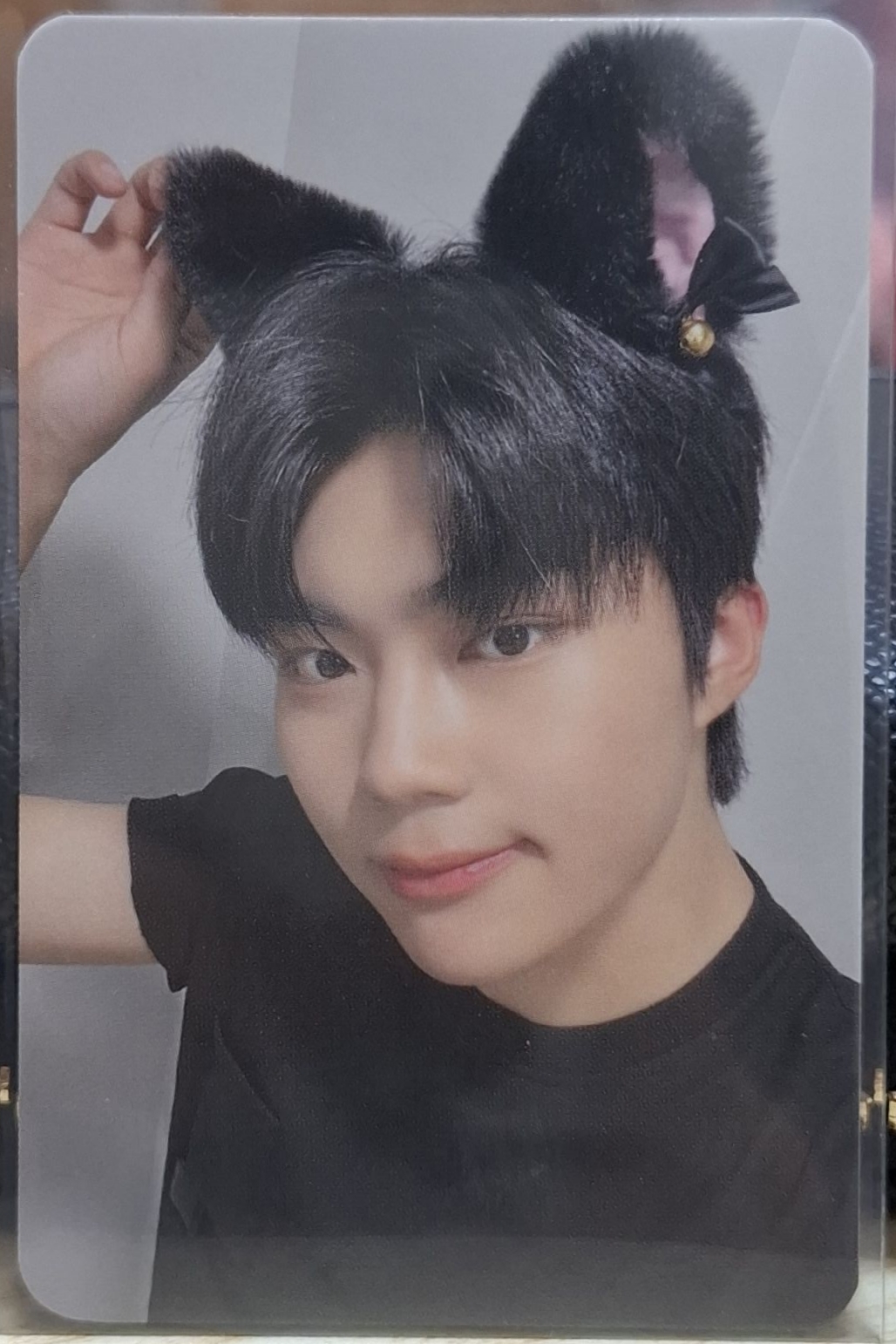 ZB1 朴乾旭｜迷一 makestar 貓耳旭