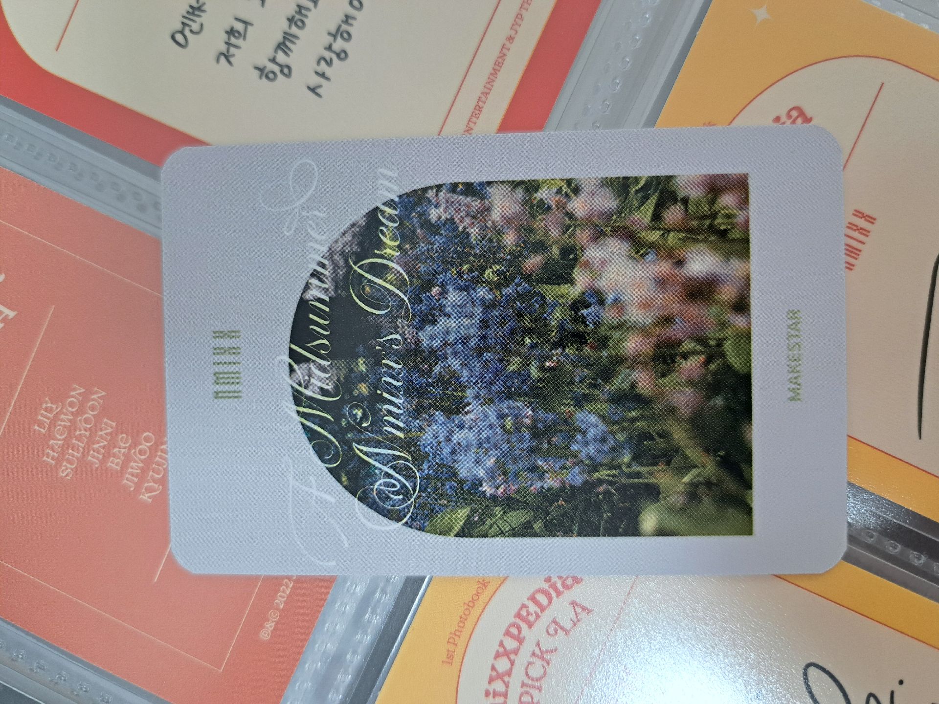 MS 4.0 水槍裴 卡背很美😙