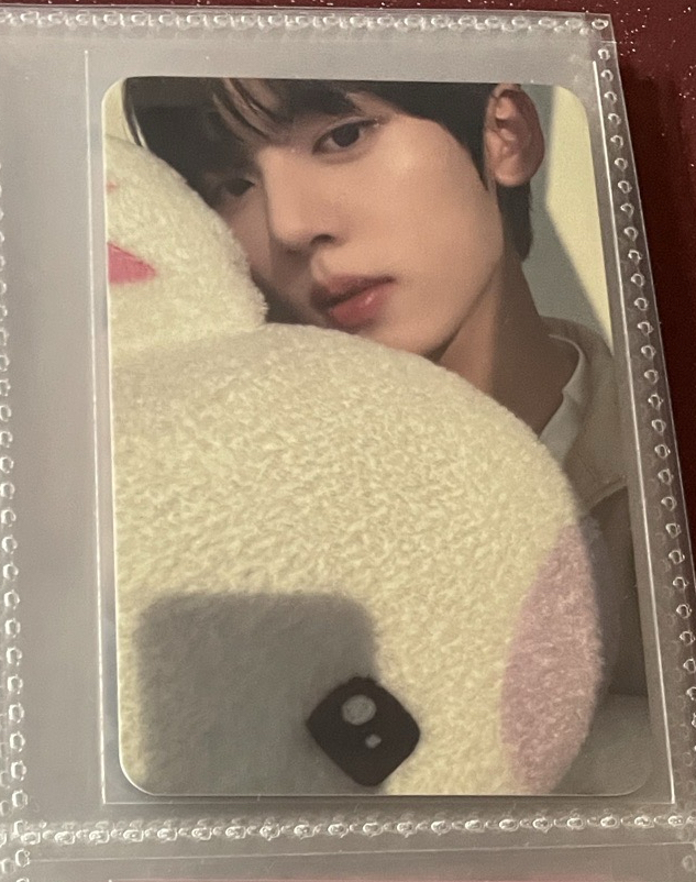 ZB1 迷三 Yes24 kakao 玩偶辰