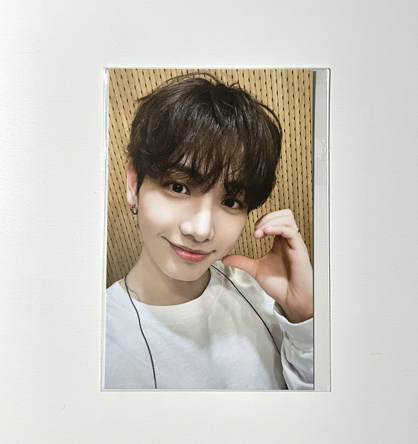 Wvs 快閃滿額卡 🐶&🐠