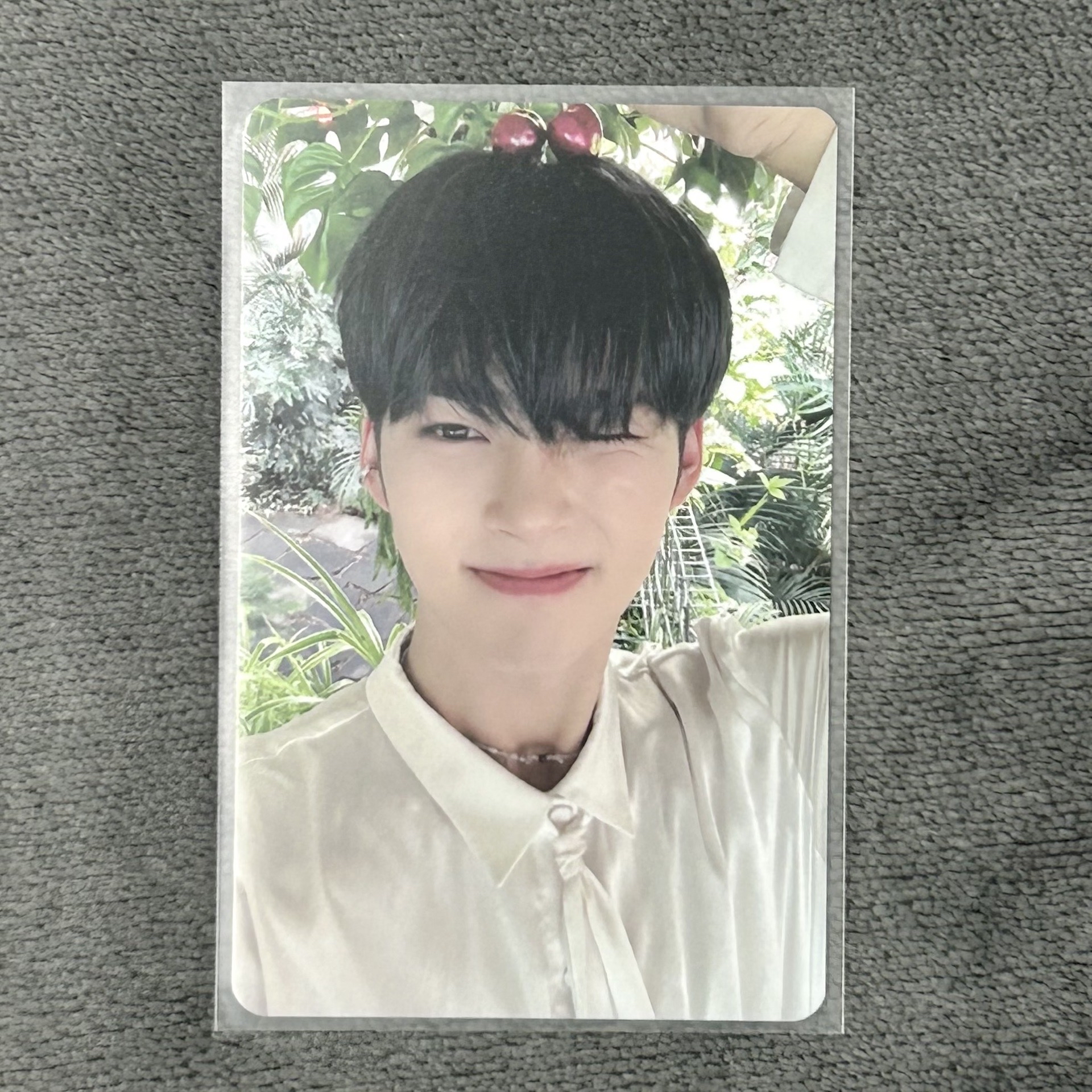 ZB1 成韓彬 專卡隨機卡