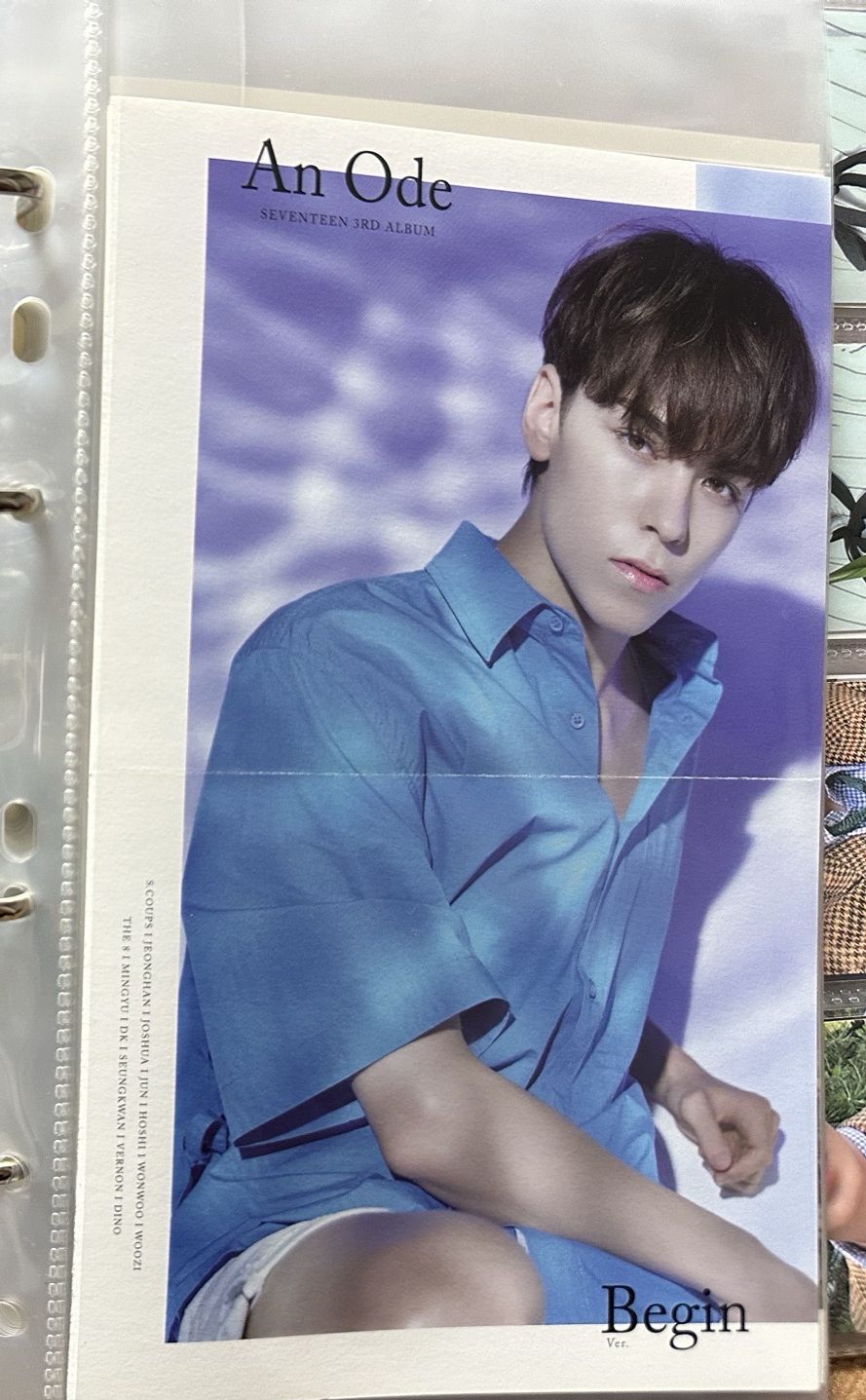 正三An ode Vernon set