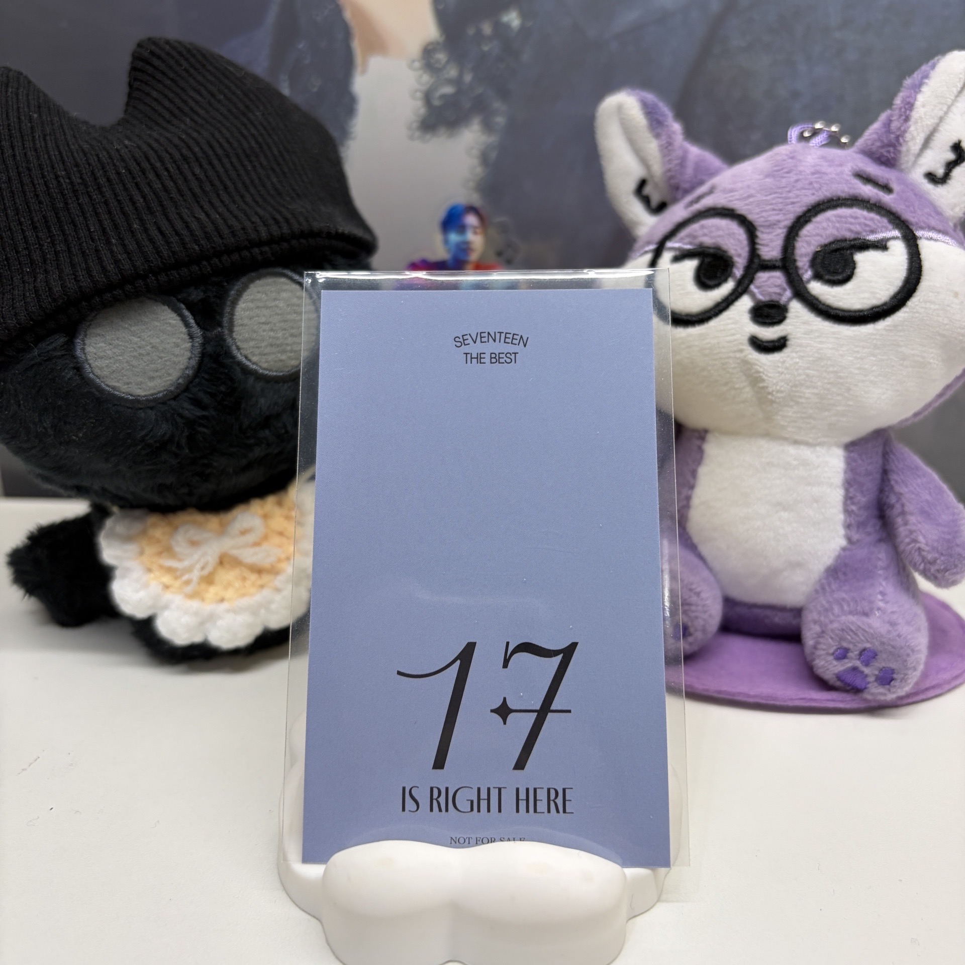 🐻‍❄️瀚率VERNON｜精選專｜環球｜特典卡 