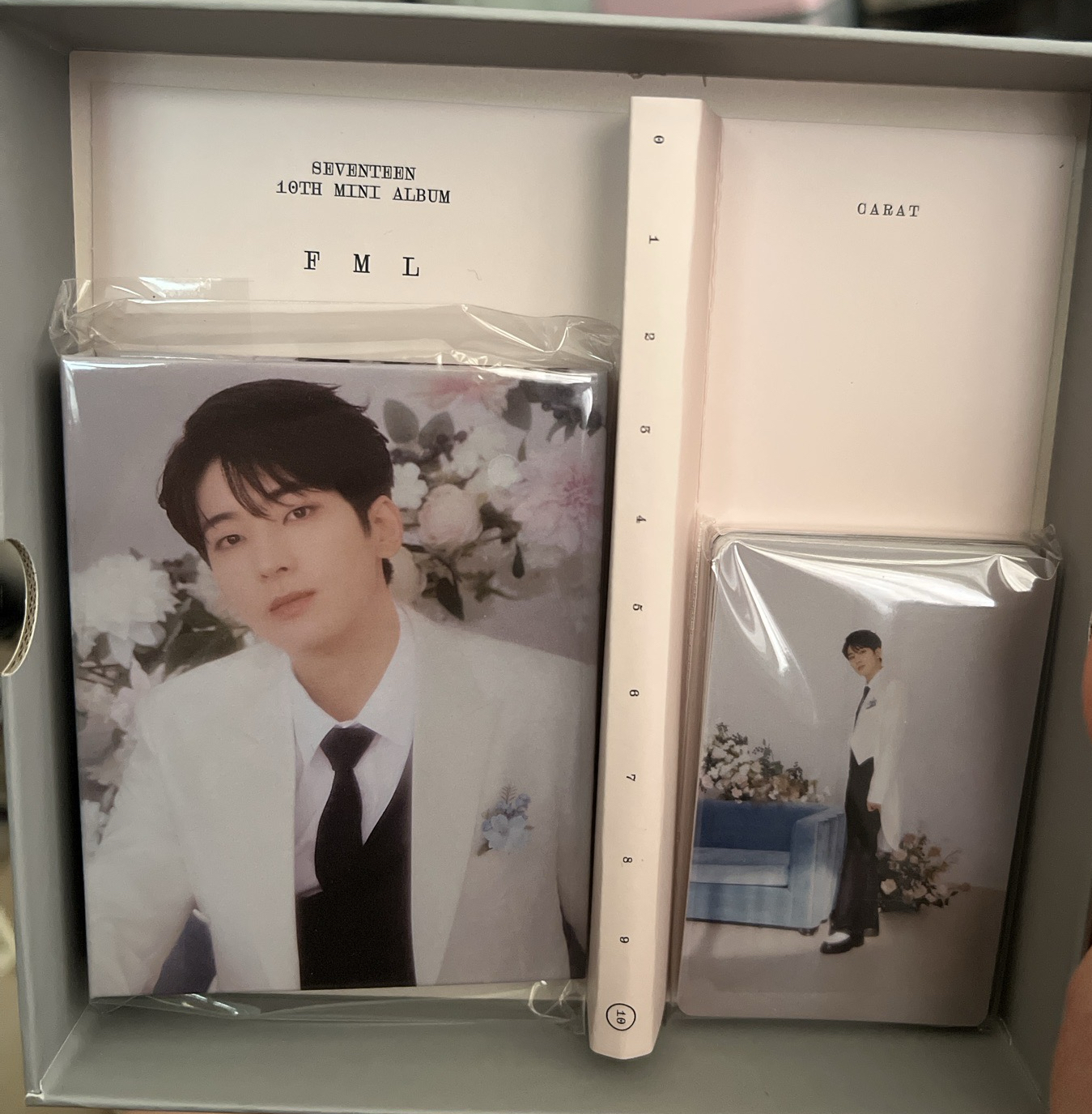 《圓》SEVENTEEN  迷10 克拉盤空專