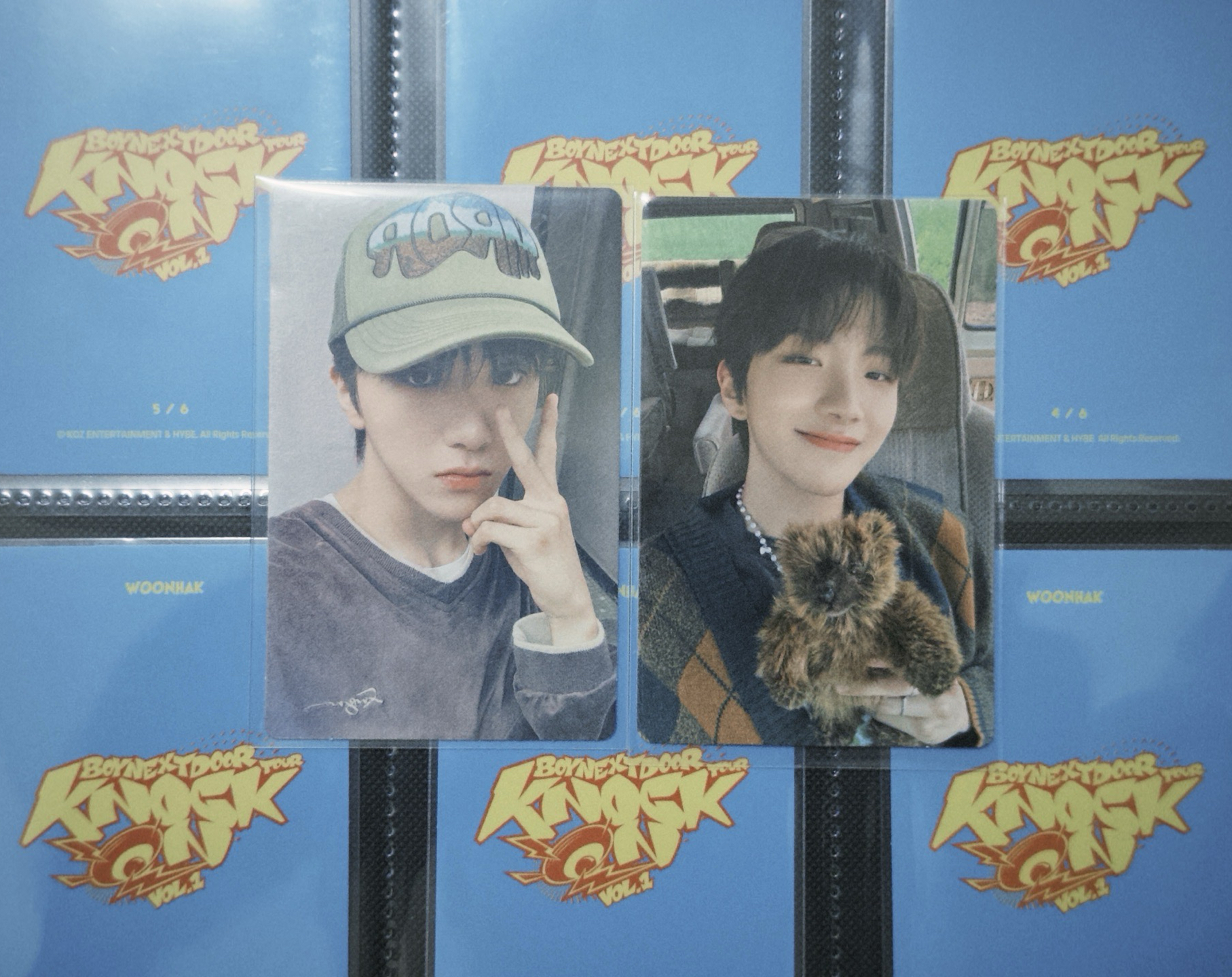 WHY. wvs6特典 專卡 金雲鶴