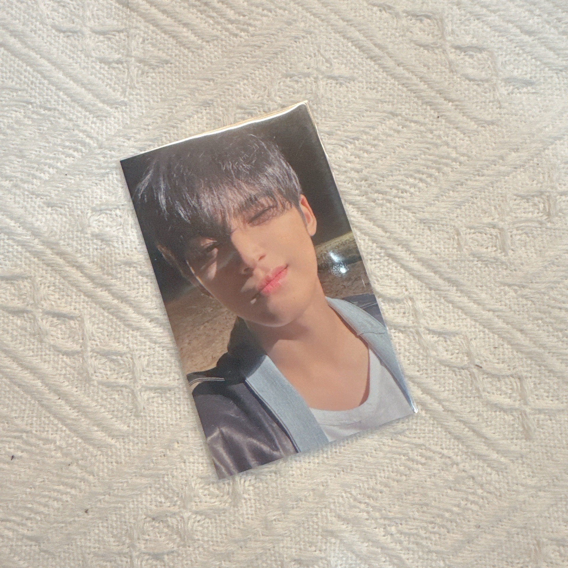 迷10 環球東京場限奎 （蜜蜂狗同造型）