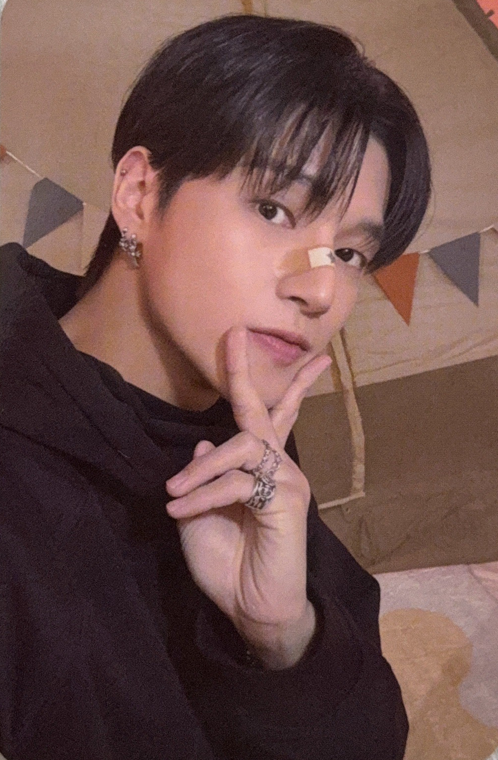 ANITEEZ IN TREASURE 隨機卡 🦊