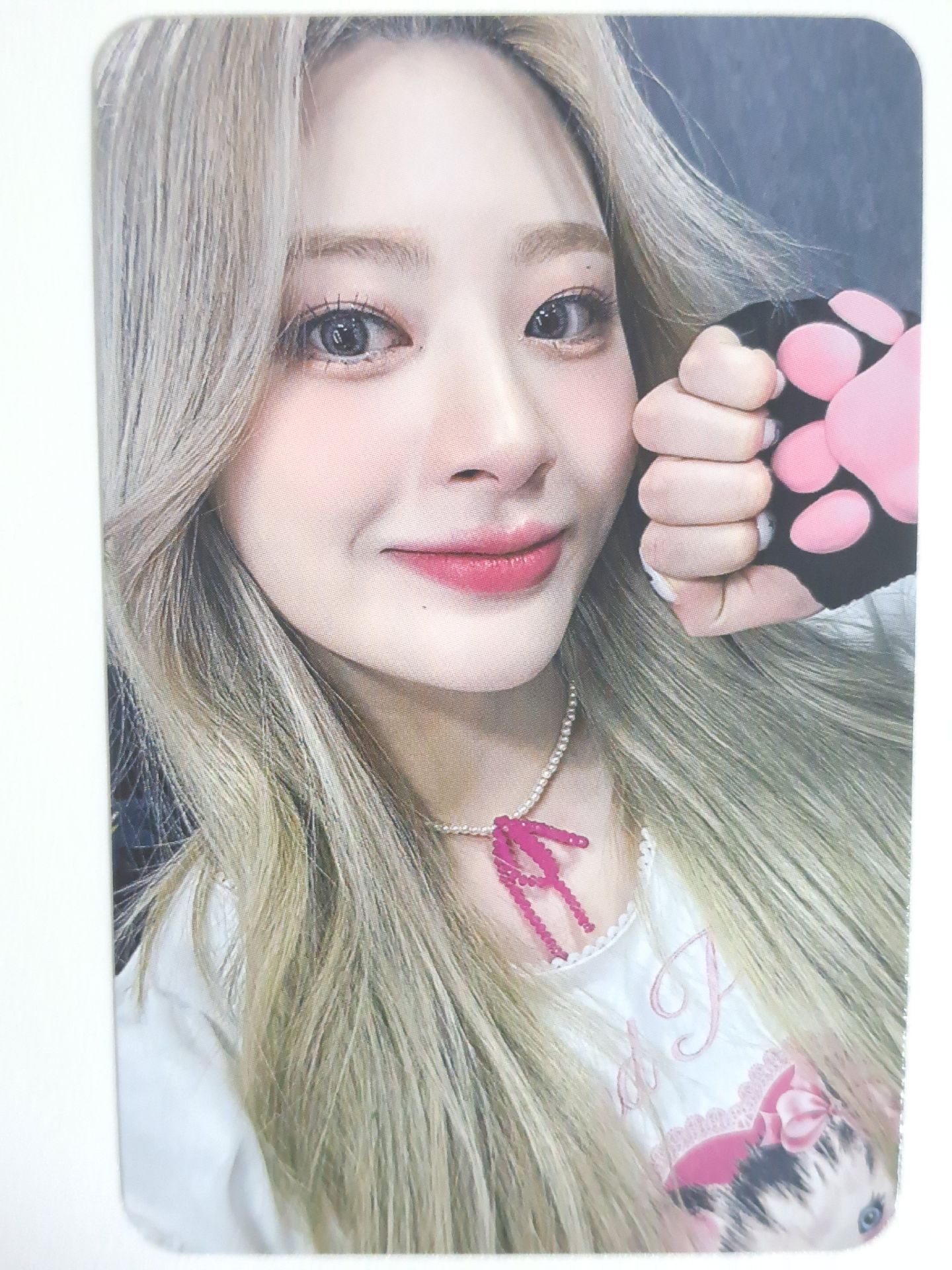 Teddy Bear mokket 特典卡 貓爪森