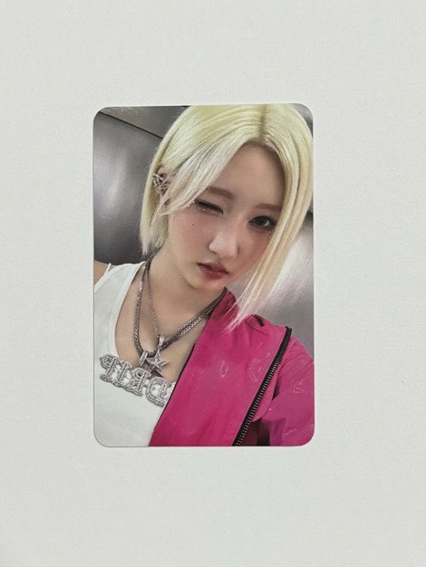 wvs慶祝會員開放抽選藍 僅14