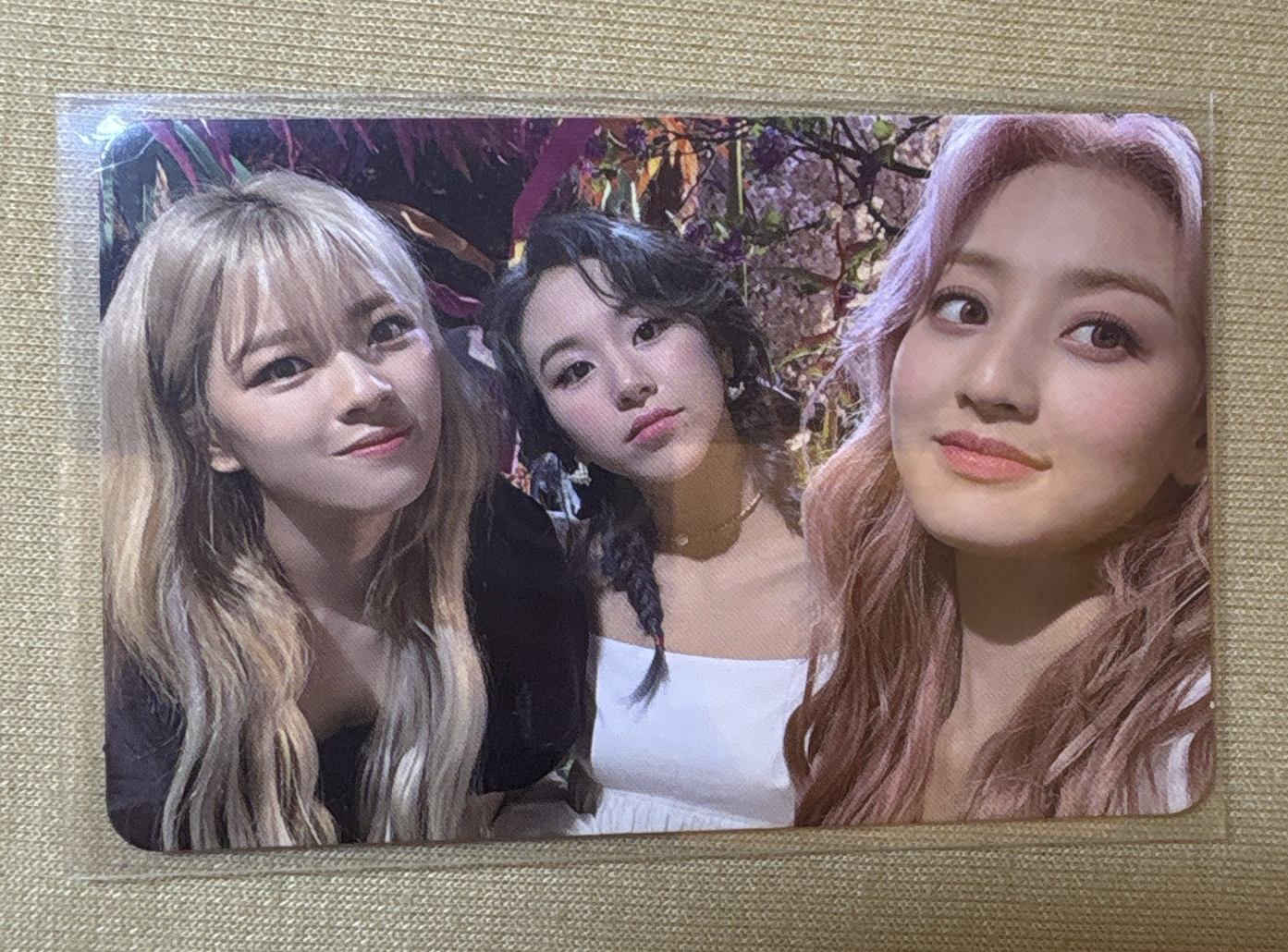 more & more定效彩