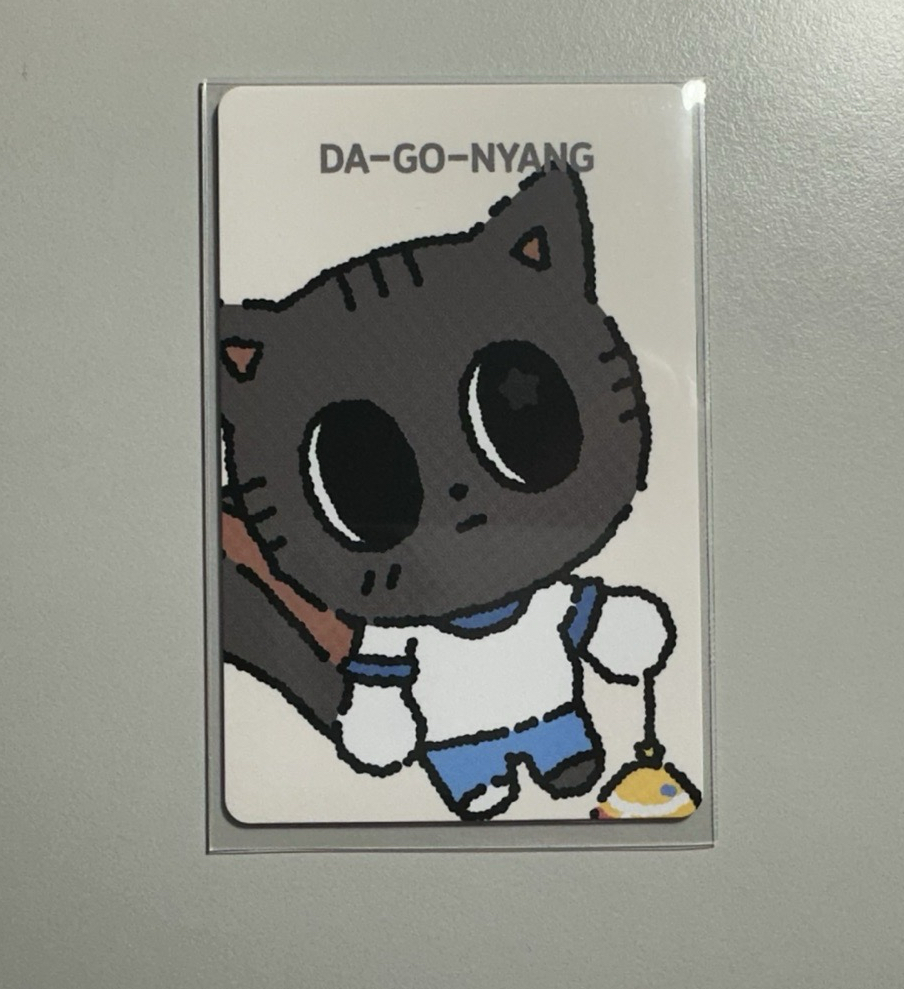 SUMMER TOGETHER松喵滿額卡