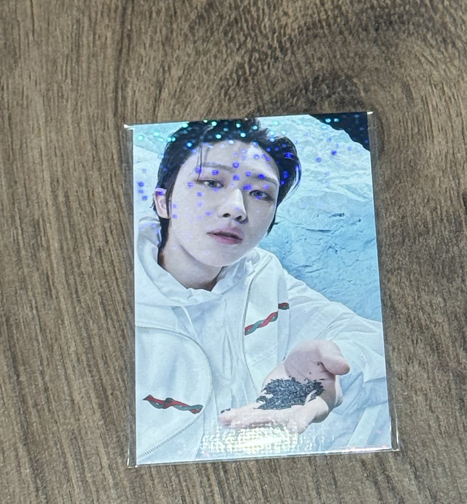 八｜正四後續 SECTOR 17-WVS JP 抽選卡