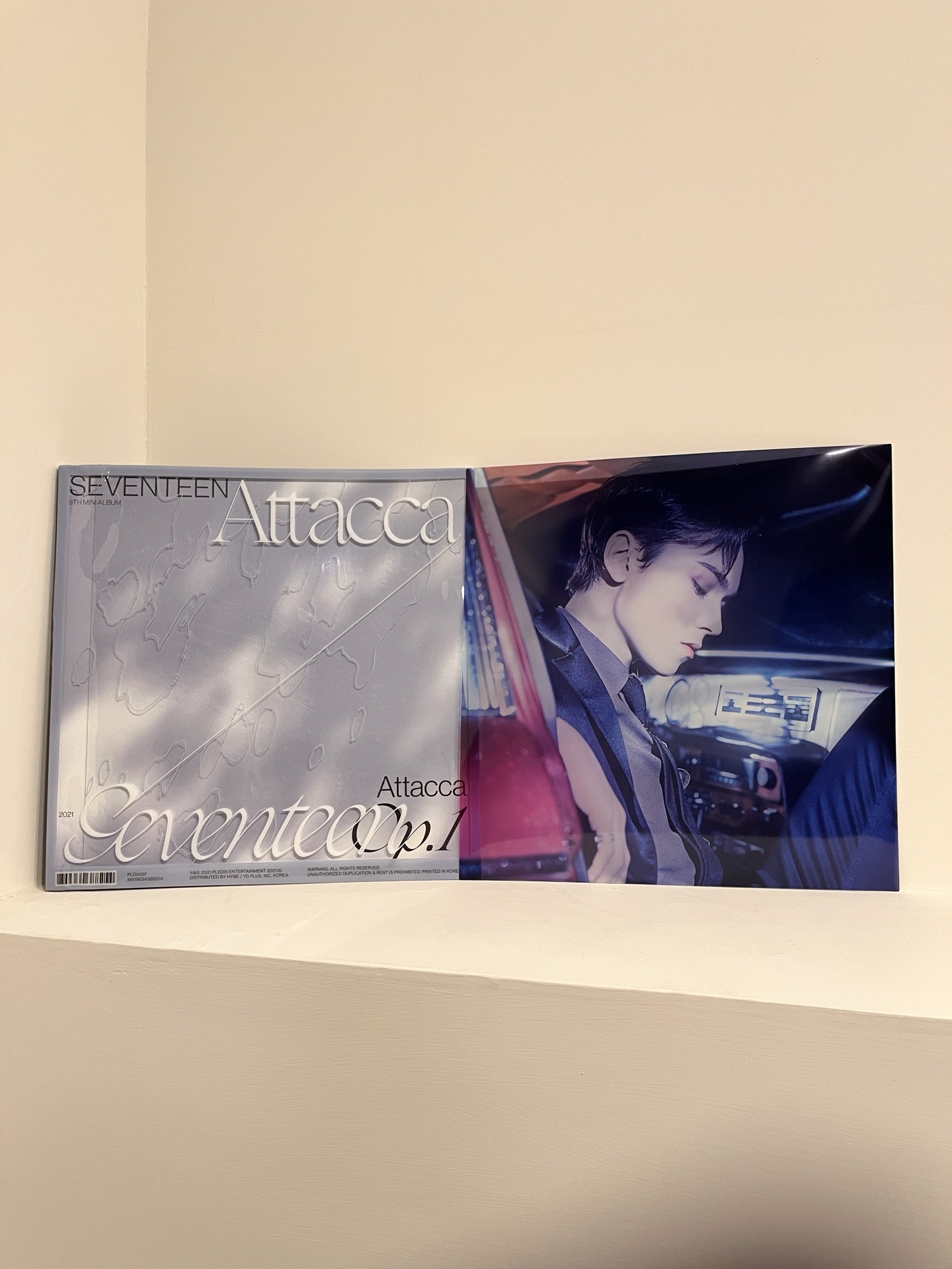 Mini9 率透卡（含小卡）