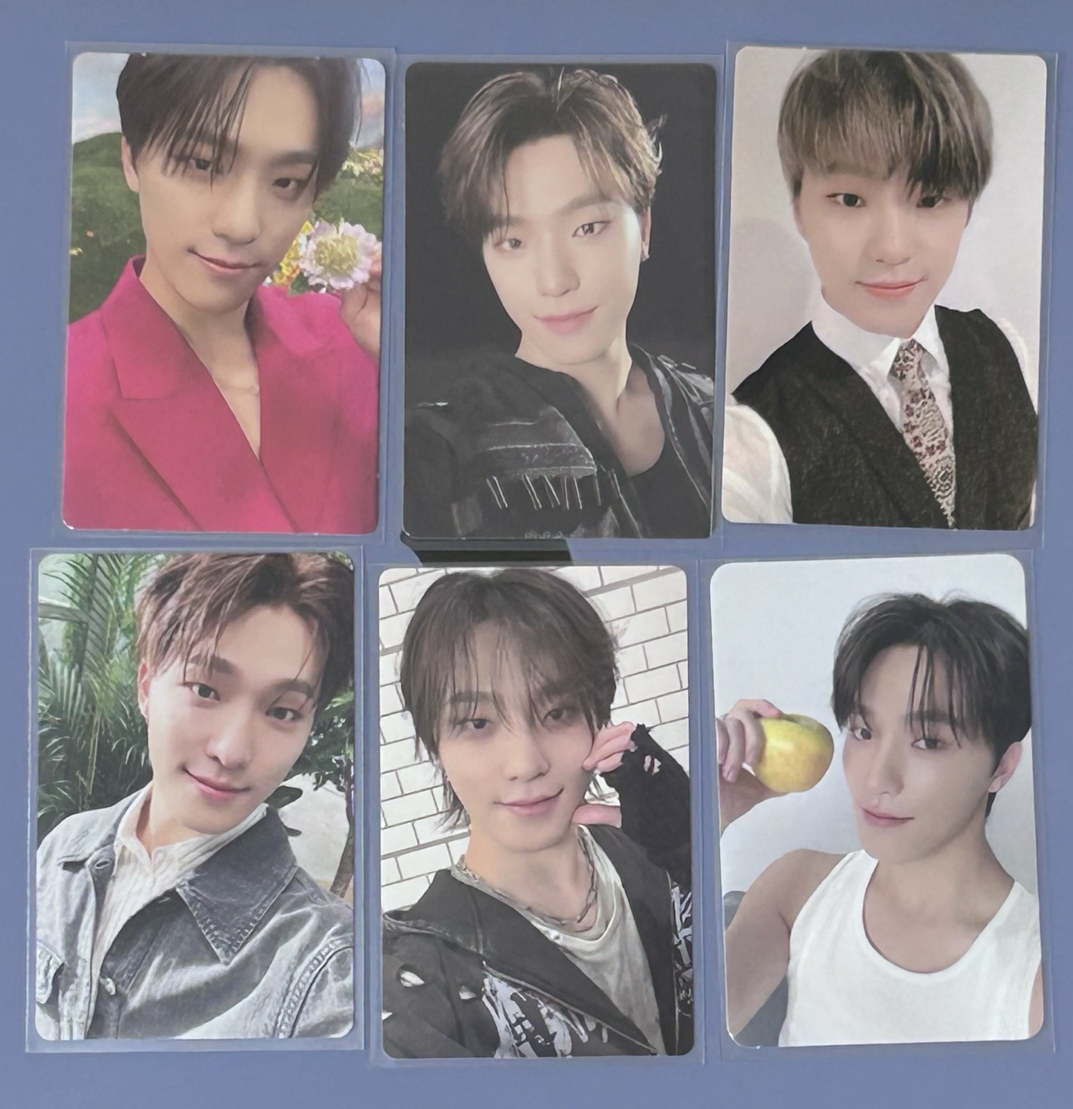 SEVENTEEN 燦小盤 DINO 李燦