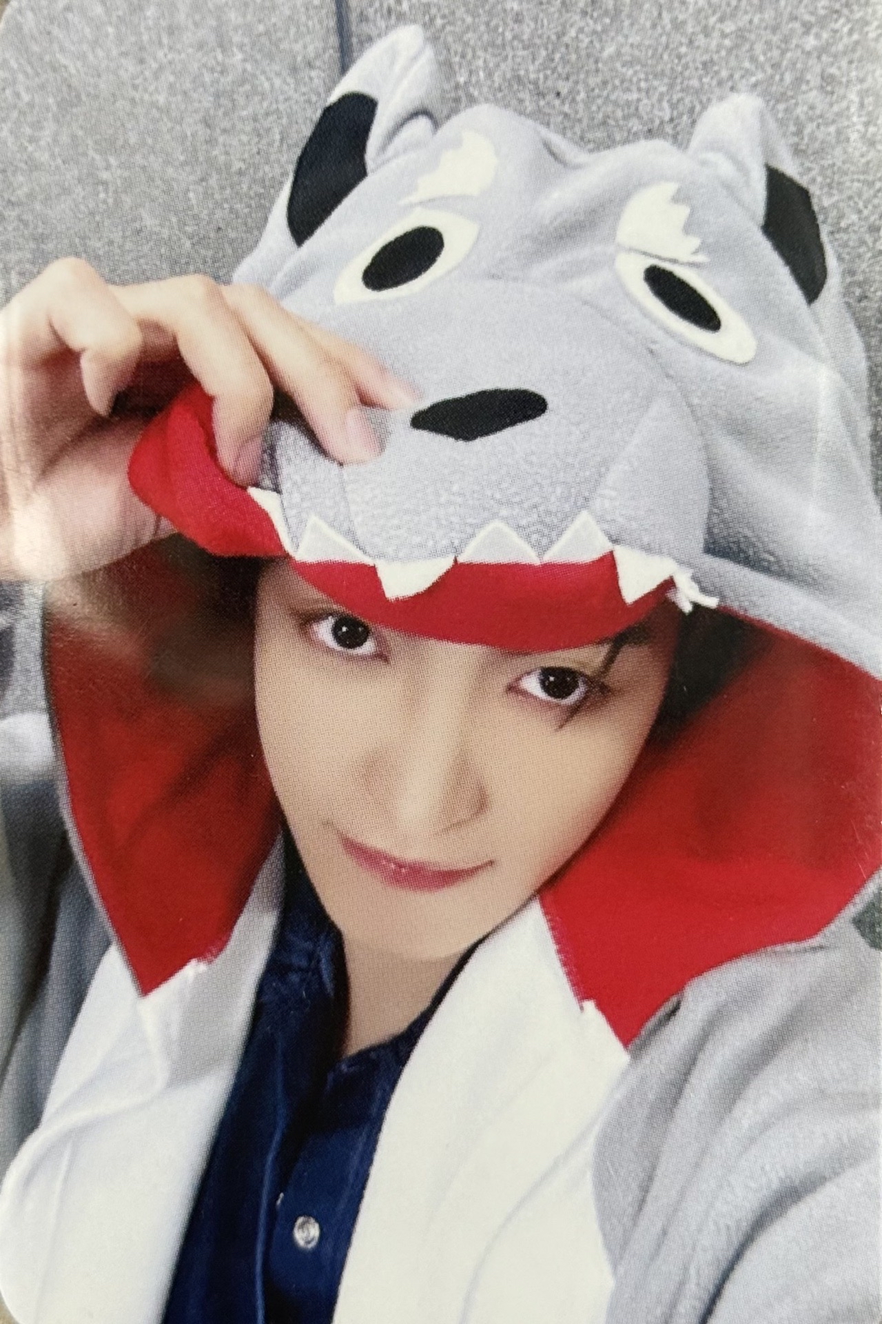 金弘中｜大野狼中中