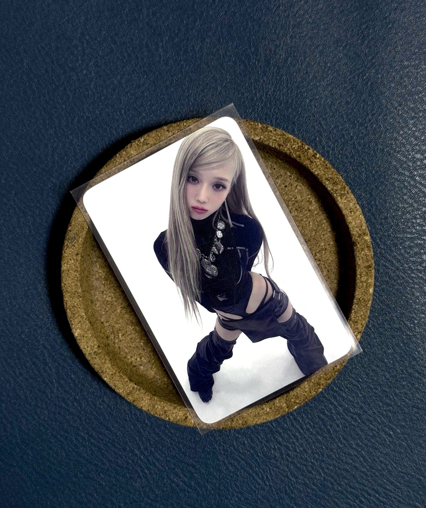 Whiplash k4預售冬