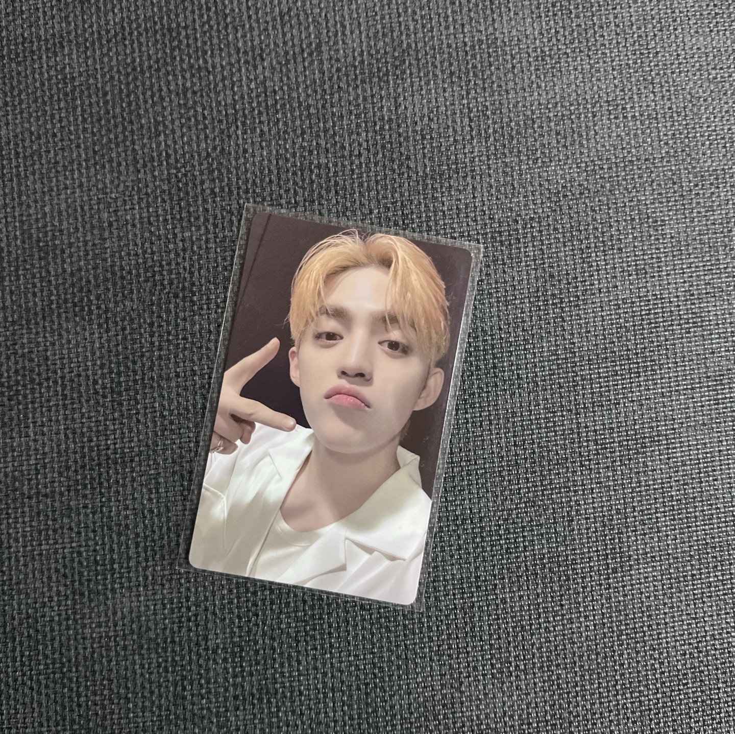 mini12 wvs 特典+簽售卡哲