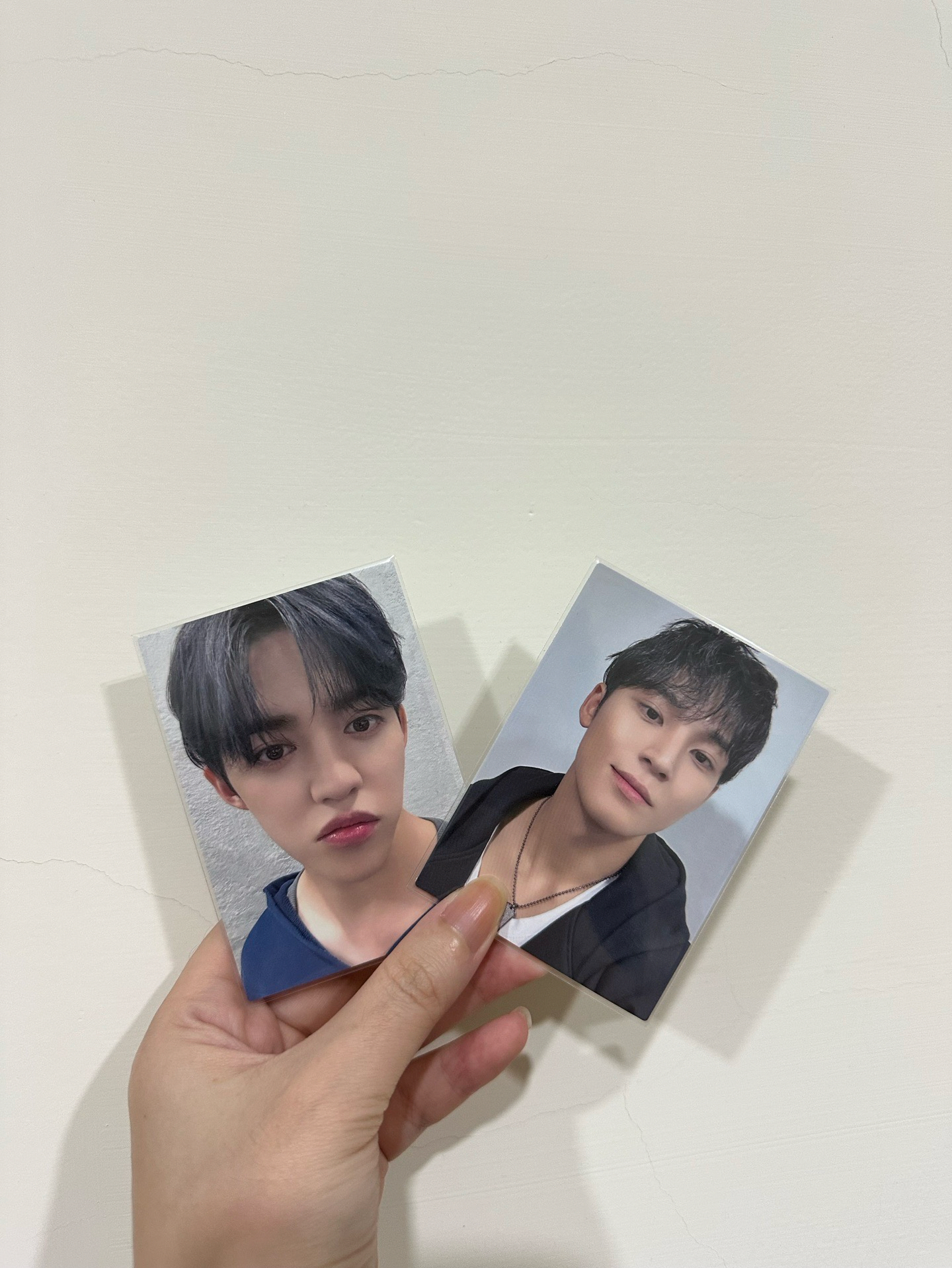 哲奎集章卡（含綁）