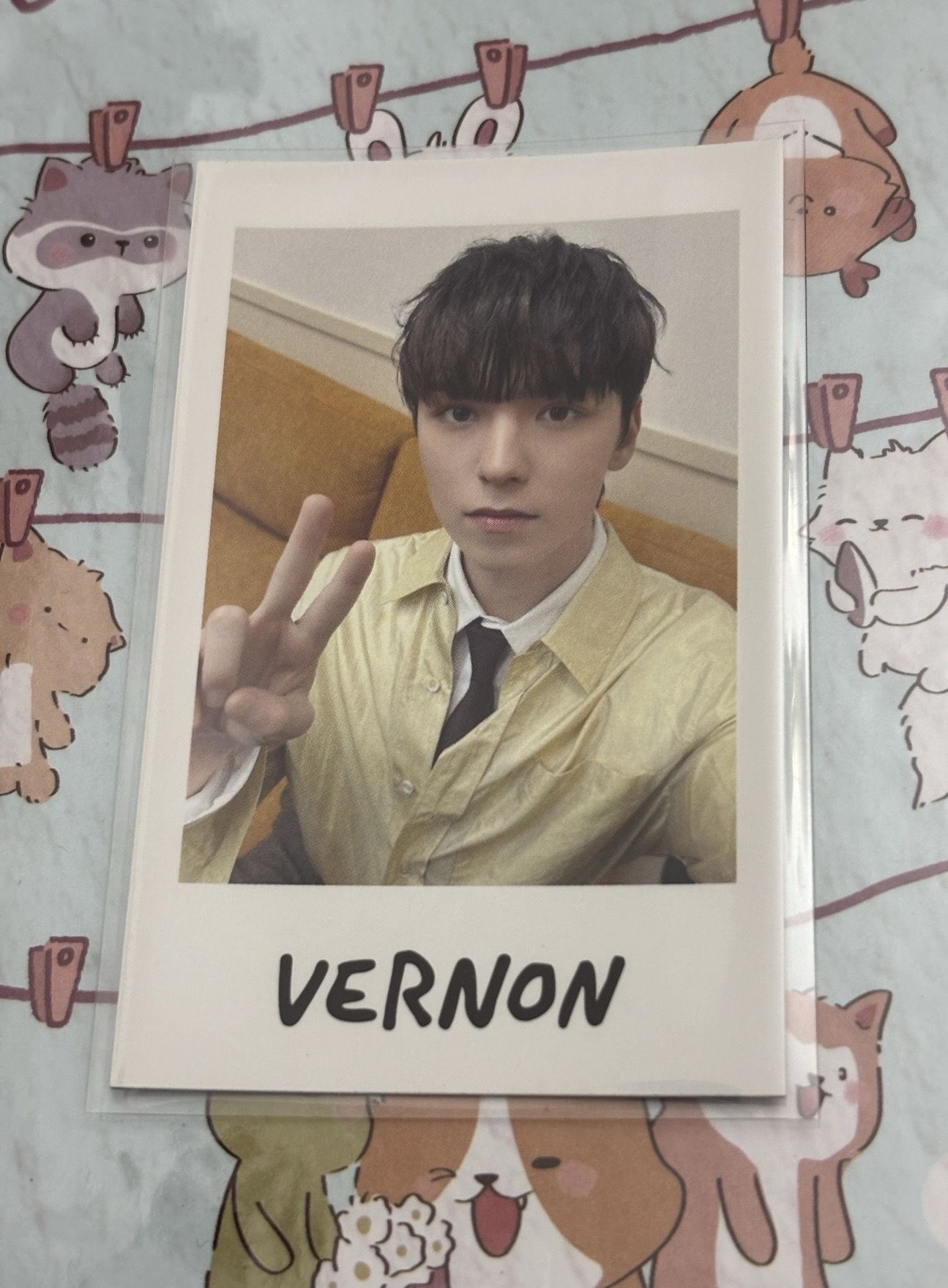 🤍2025 holiday 拍立得 率