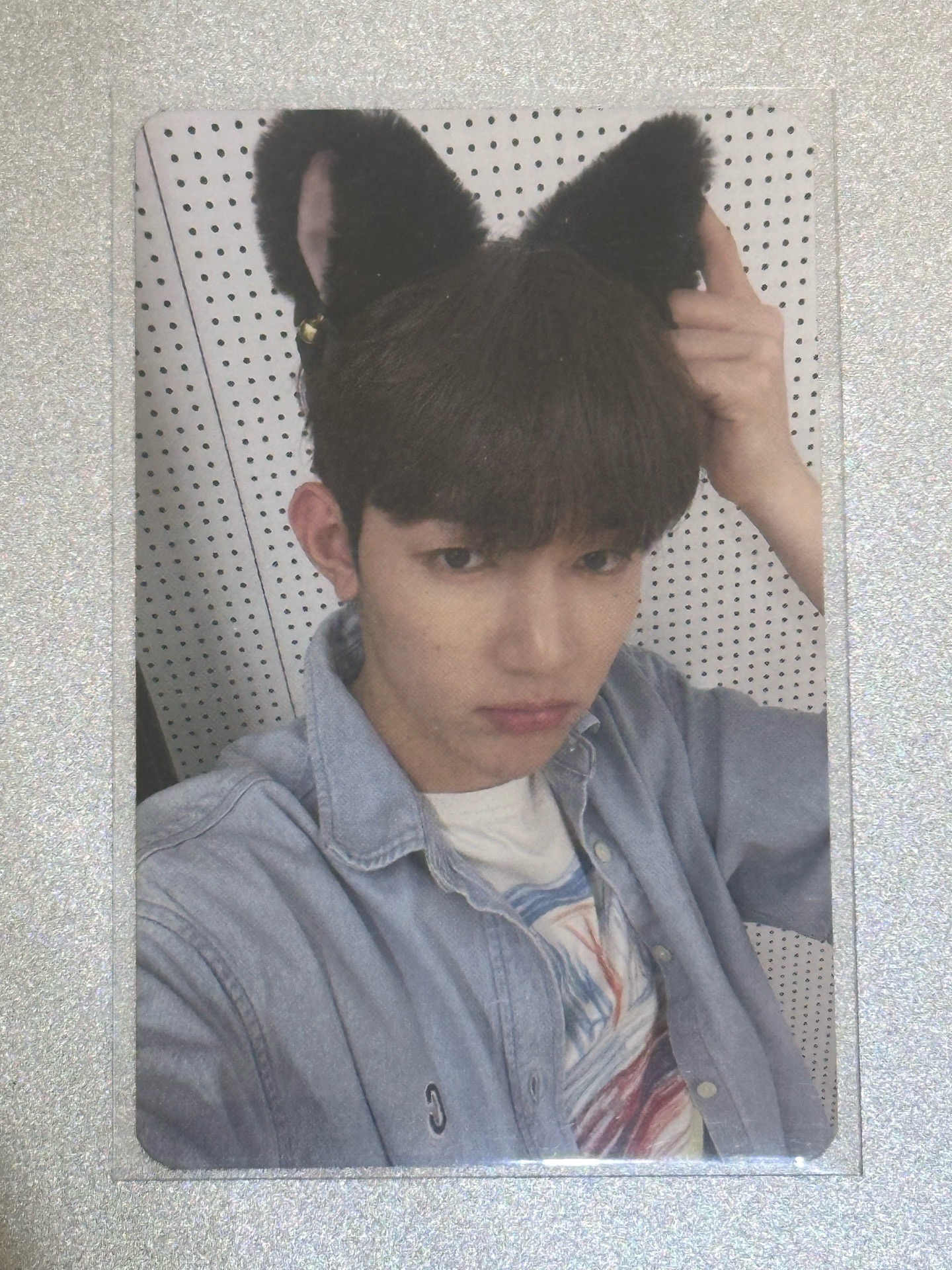 zerobaseone 章昊 迷一特典卡 ms 1.0貓耳୨୧