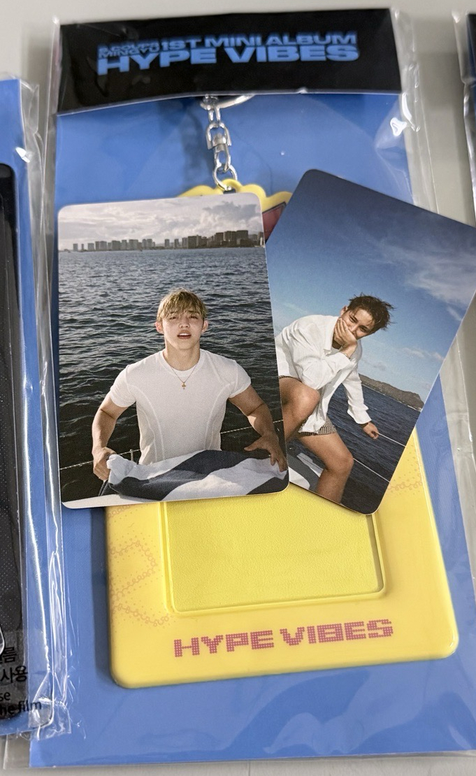 HYPE VIBES 卡套 (組) 