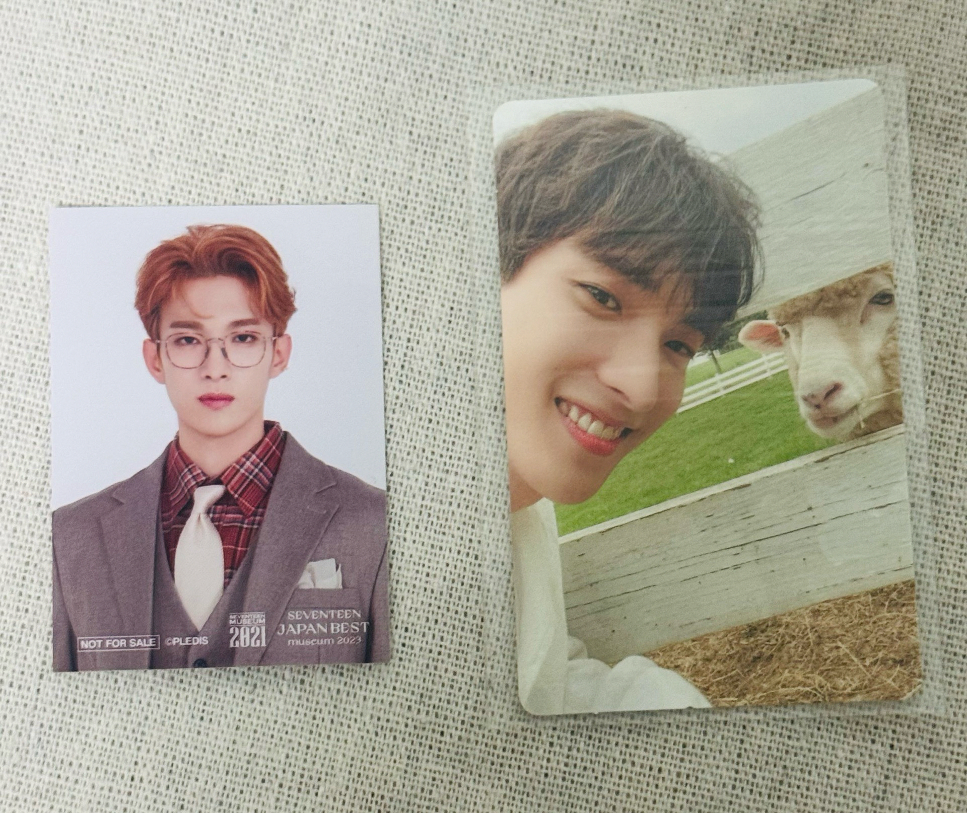 SEVENTEEN 碩珉 DK social club 博物館 證件照 羊碩 稀有