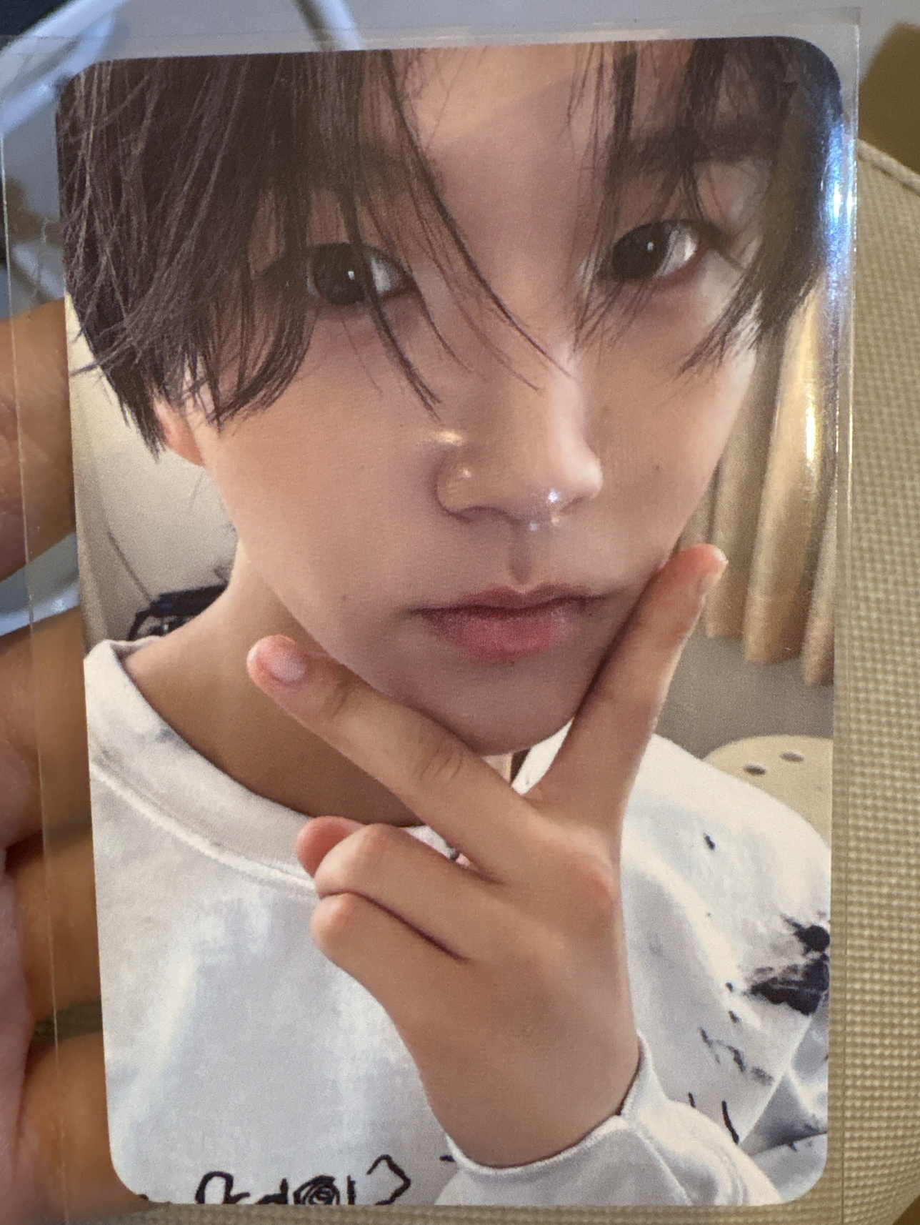 steady wm 幸運卡 金栽禧