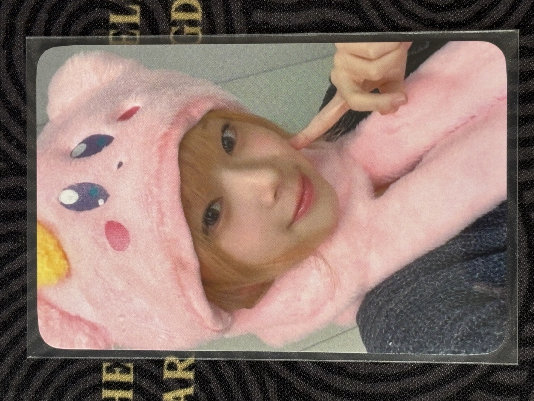 CURIOUS WM特典 卡比Kotoko🦌