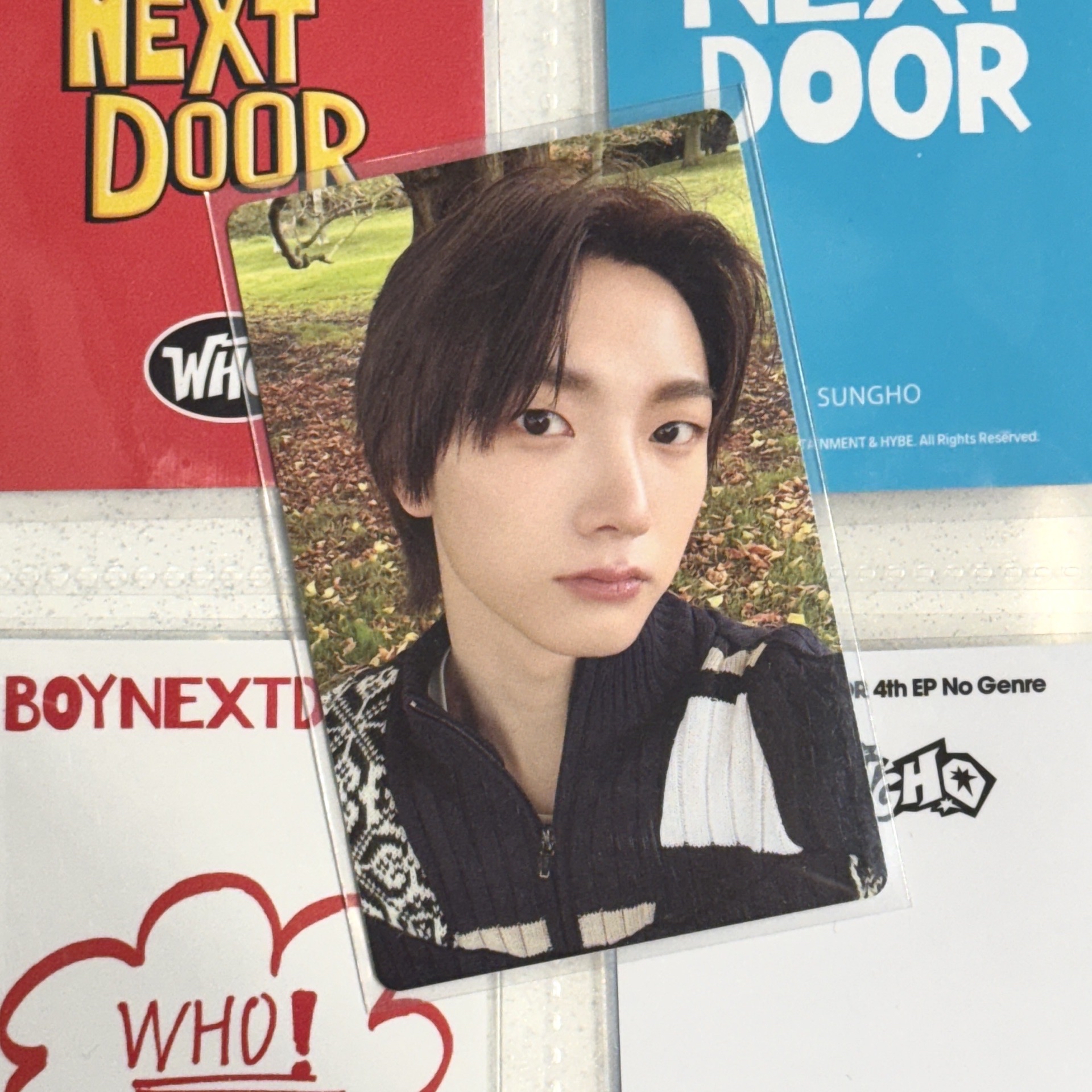 BND成淏 HOW?專卡