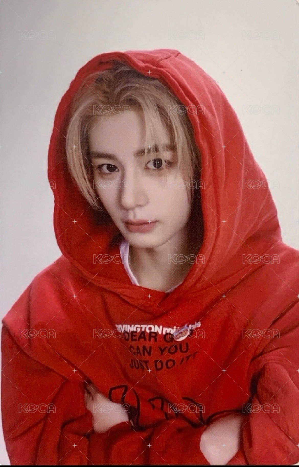 Knock On 巡迴 隨機卡 仁川場周 留言卡 6/6