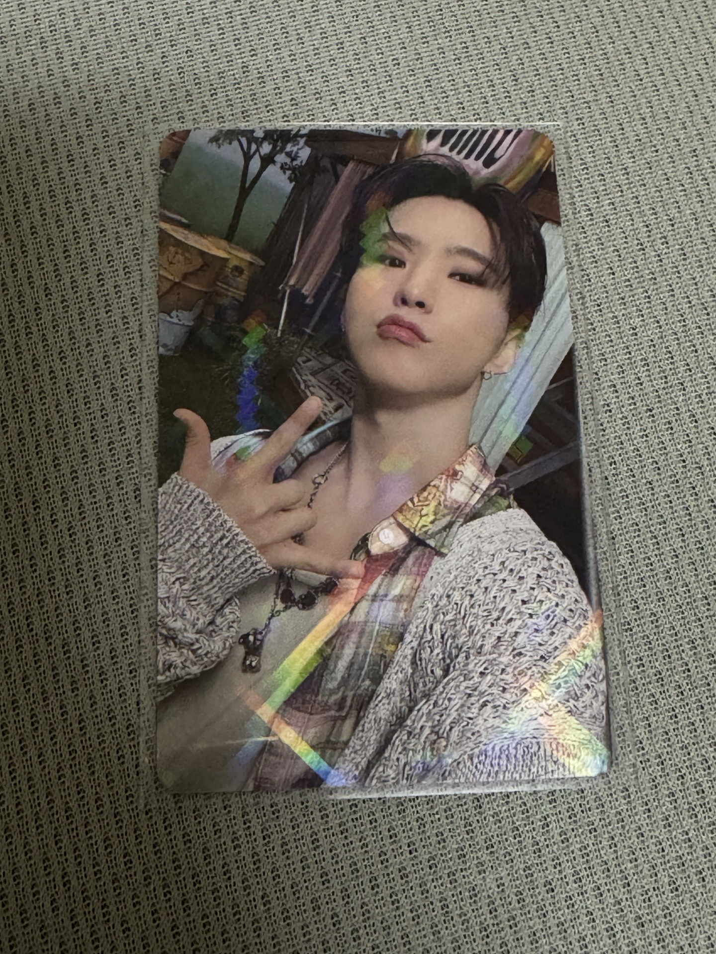 hoshi 迷11日咖特典