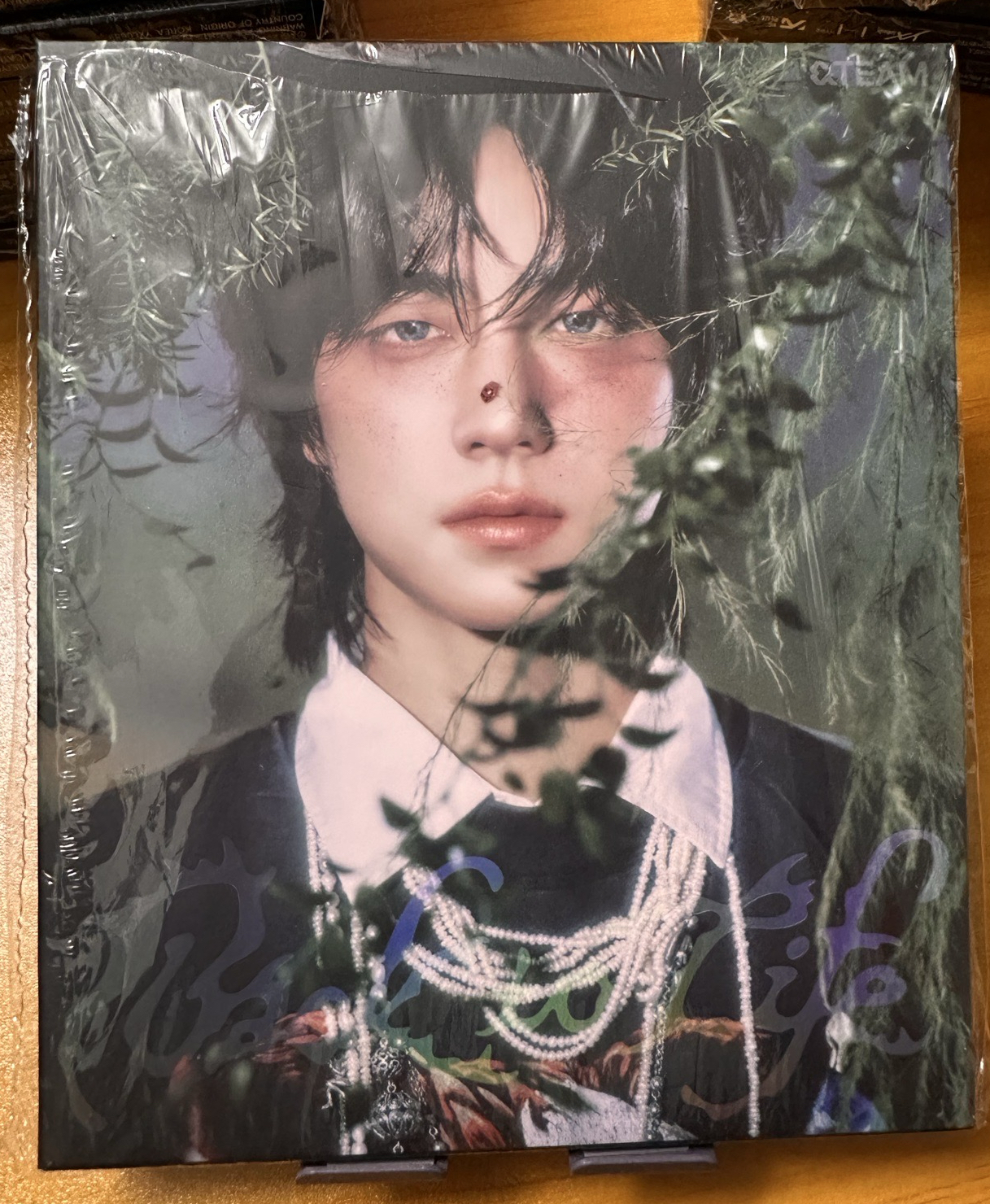 「拆專」&TEAM [Back to Life] KR 1st ALBUM (Roar ver) 