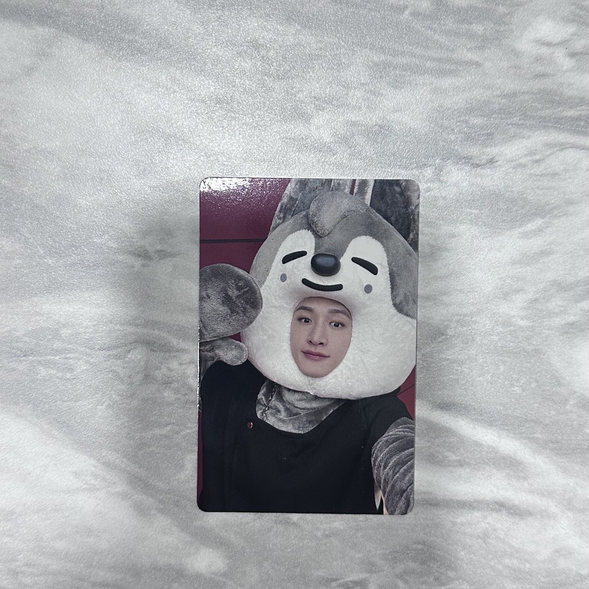 Maxident 大頭燦（含綁）