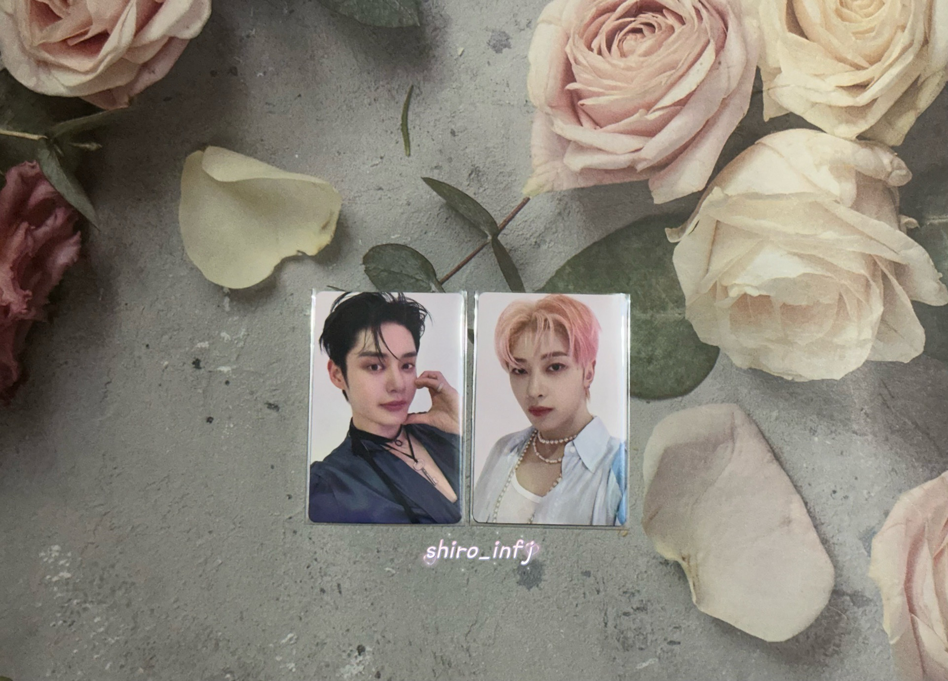 ZB1 日專卡｜地雄｜馬修｜…