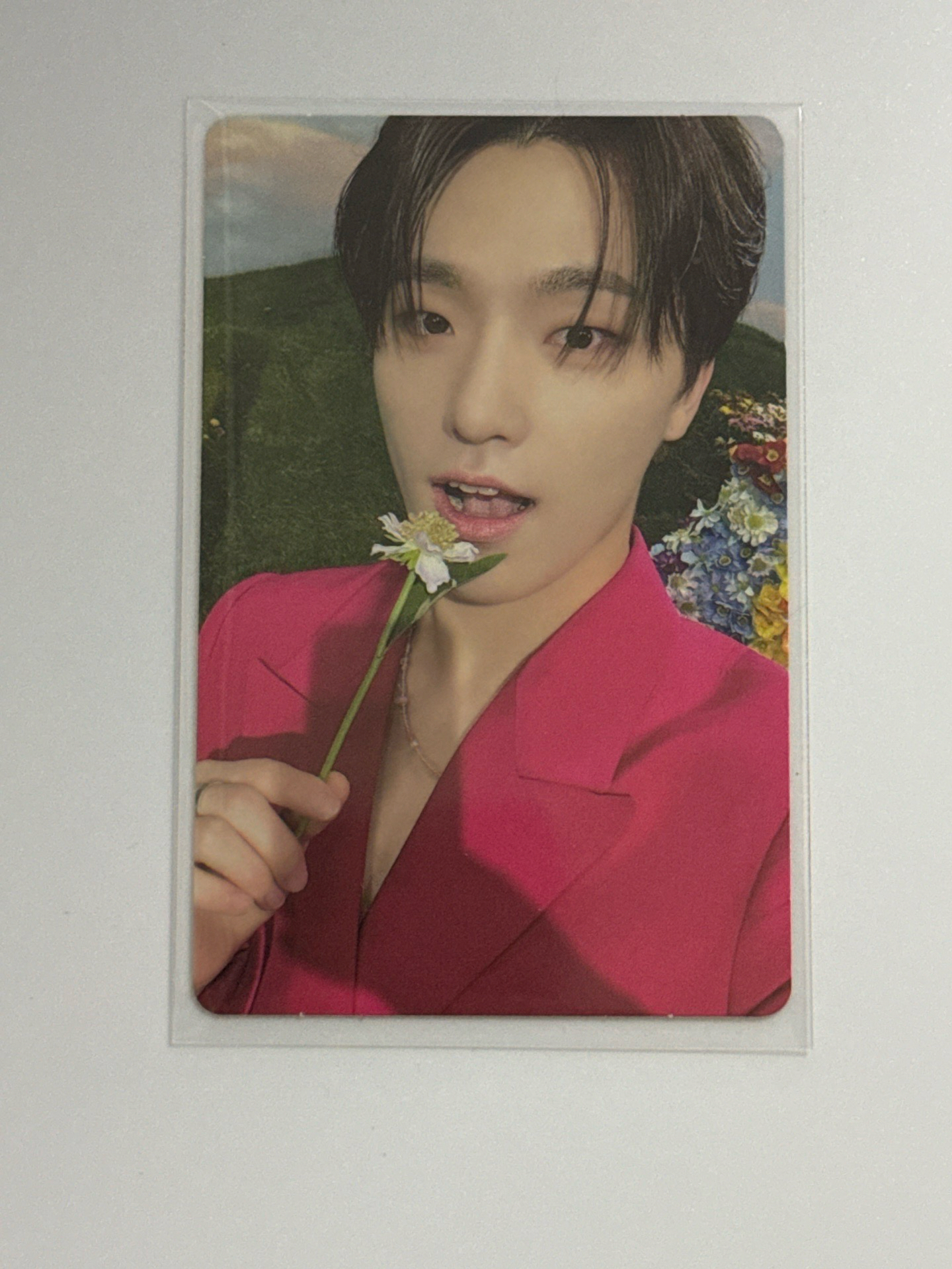 SVT 燦 正四後續 KIT 專卡