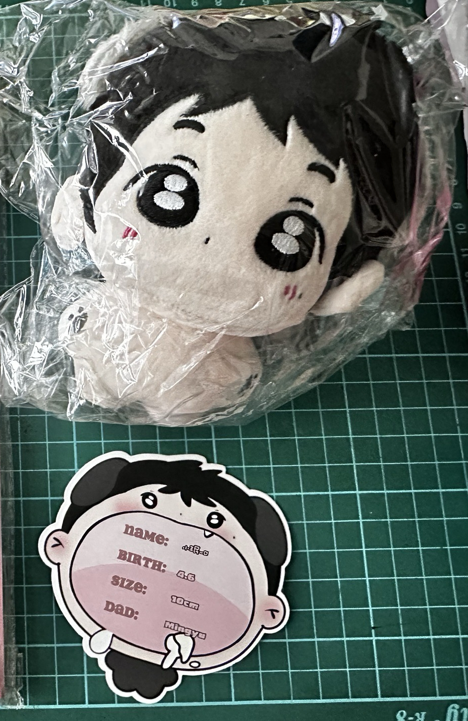 SEVENTEEN 金珉奎 10cm 大頭娃娃 珉不樂