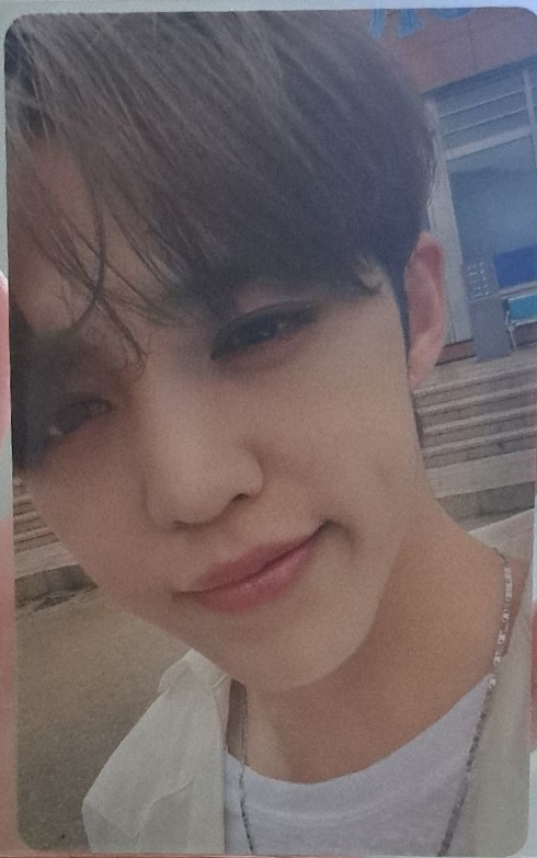 正四後續 wvsjp 哲