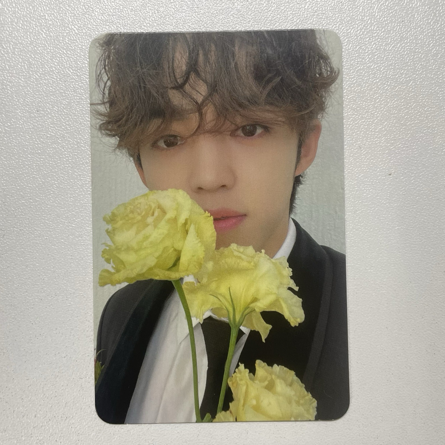 🍒-MINI 10｜CARAT ver.