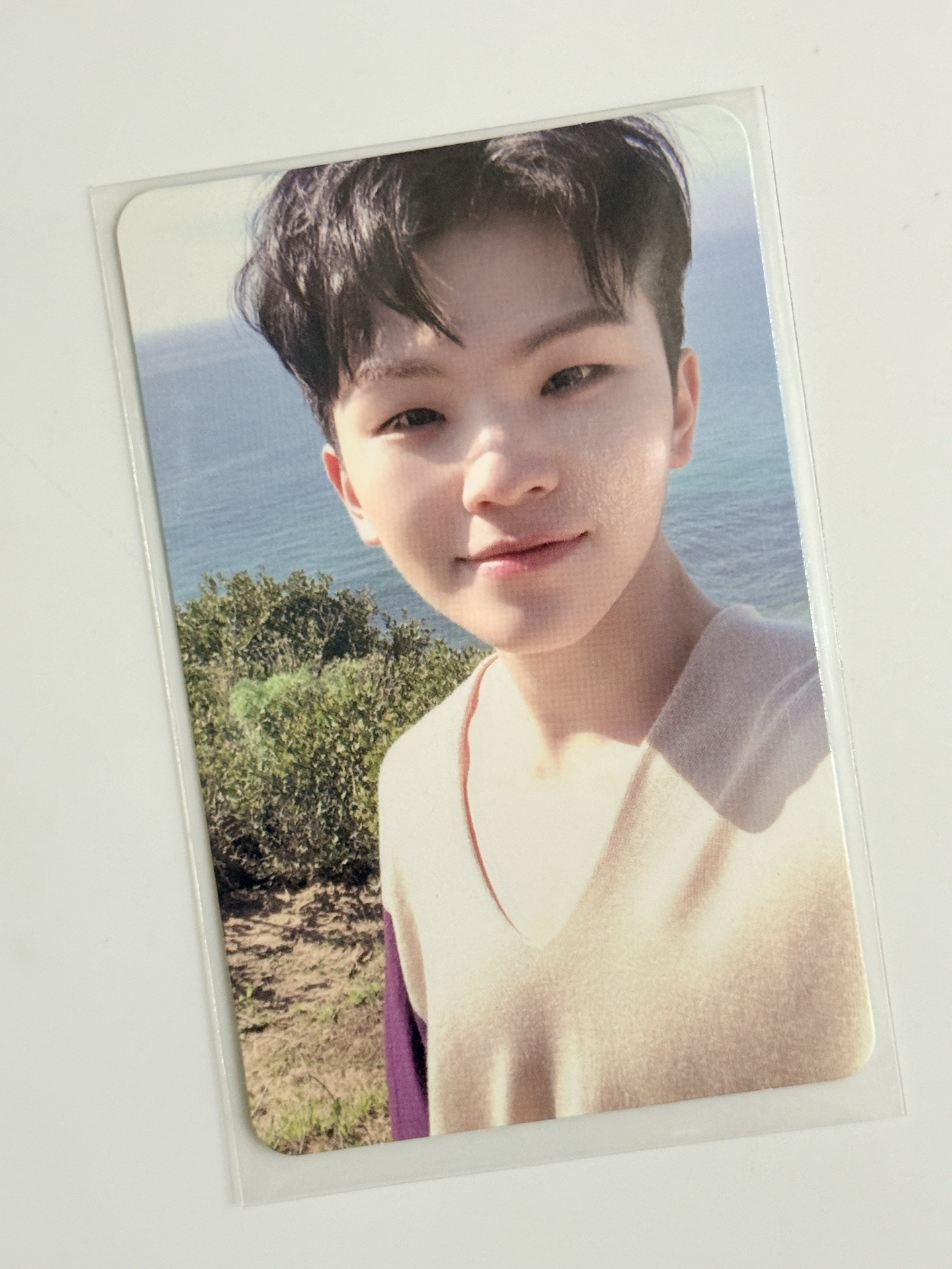 迷你7專卡 DUL ver 勳