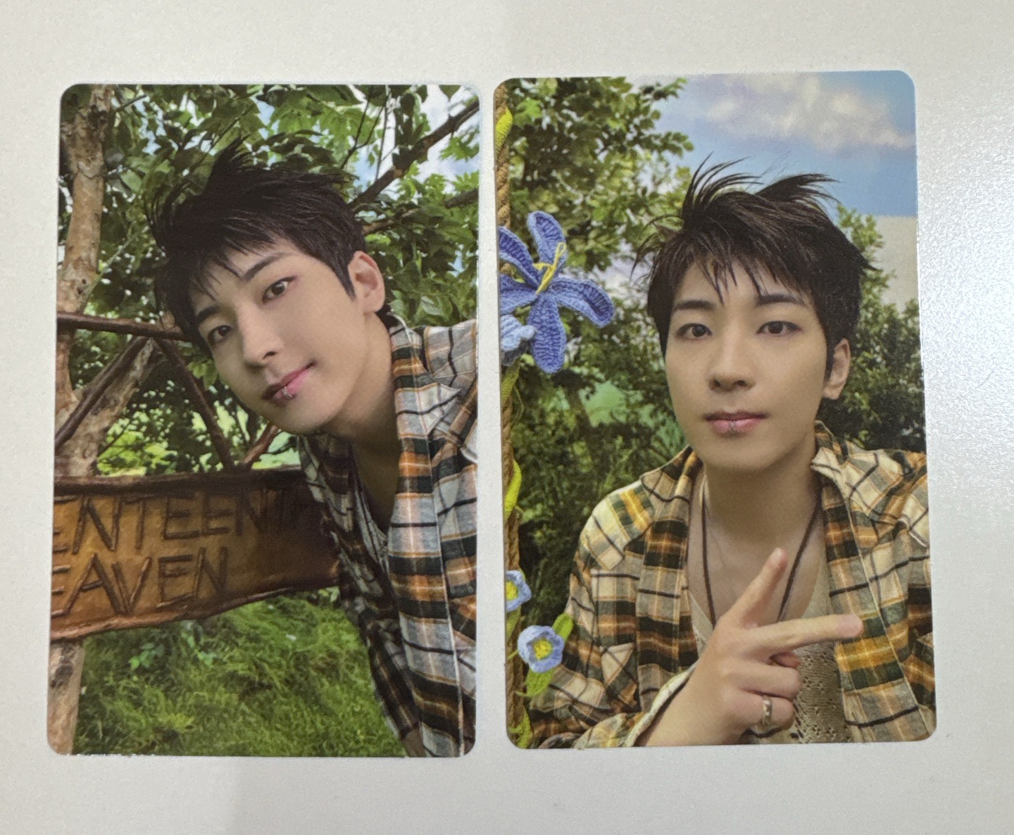 迷十一｜圓｜電子專(2張不拆售)