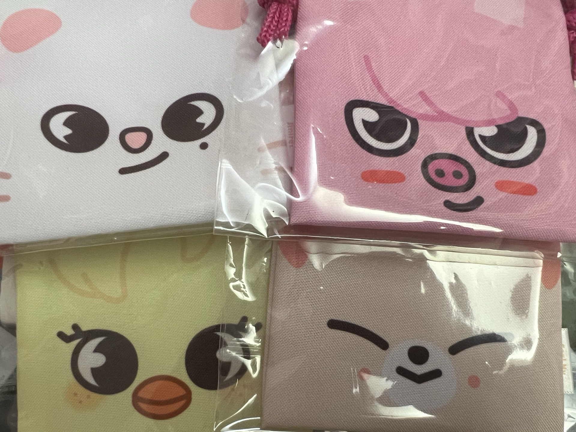 Stray kids SKZOO dominate 一番賞 D賞