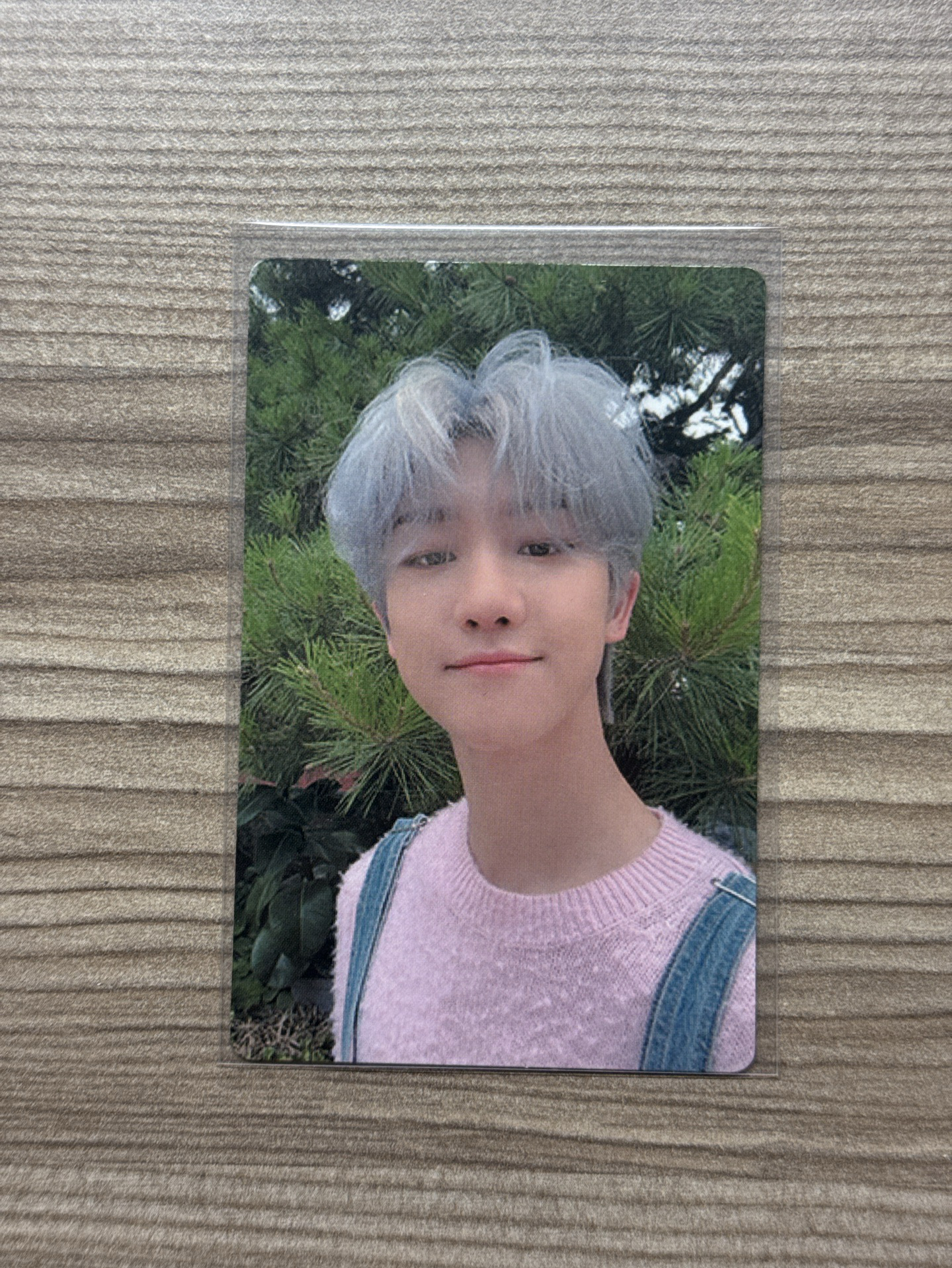 An ode 正規三 專卡 藍髮八 徐明浩