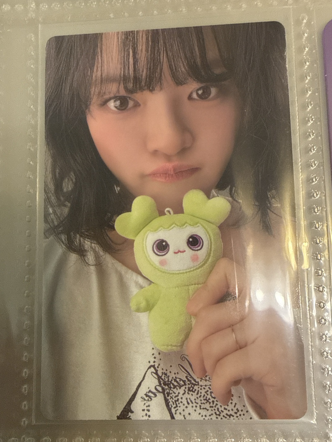 五期會員禮 定延小卡