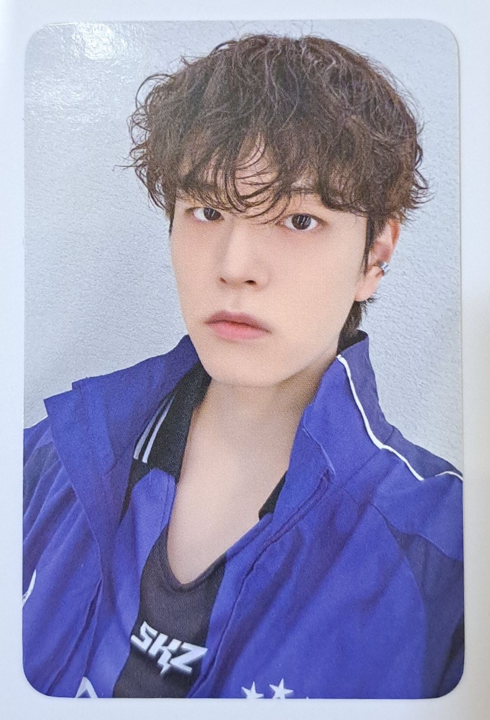 捲毛足球狗狗🐶