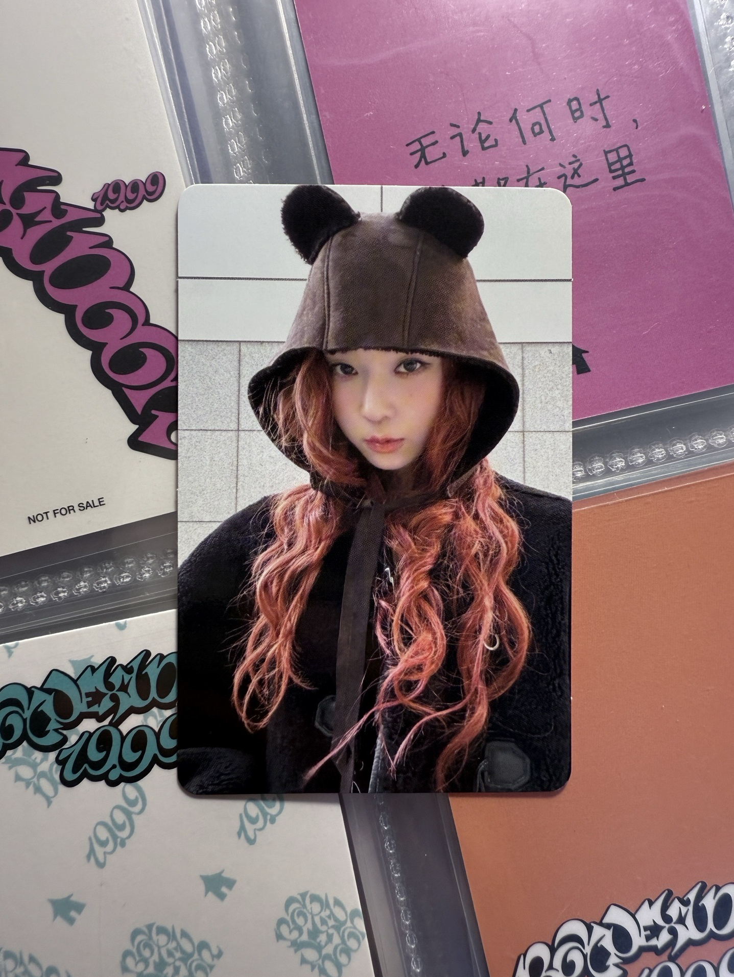 ✴️ Drama 華納特典冬 小熊冬 WINTER