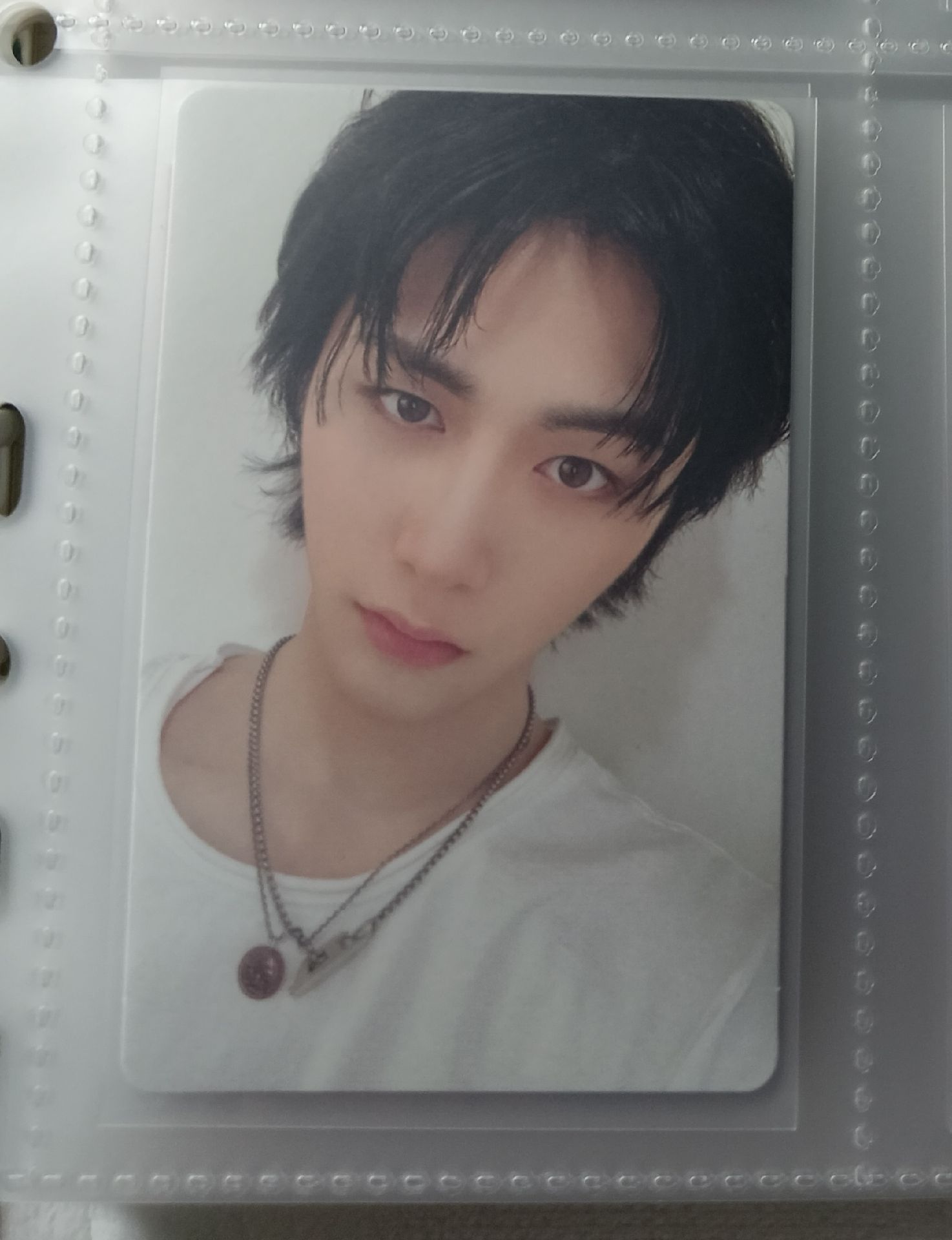 19.99專輯卡 泰山