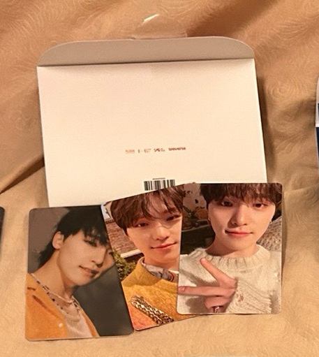 seventeen Dino 李燦 正規四 電子專 wvs專 小卡